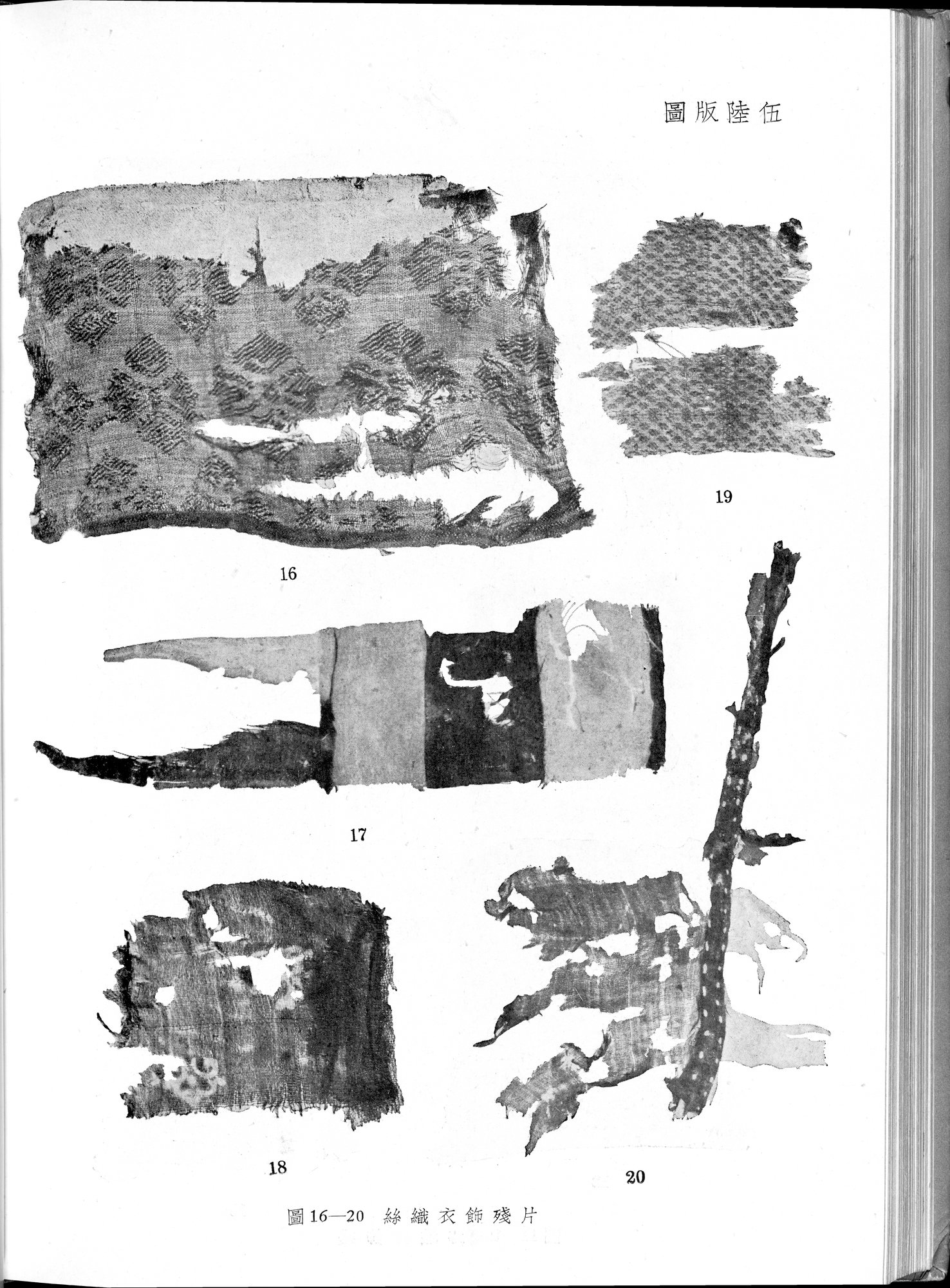 塔里木盆地考古記 : vol.1 / 294 ページ（白黒高解像度画像）