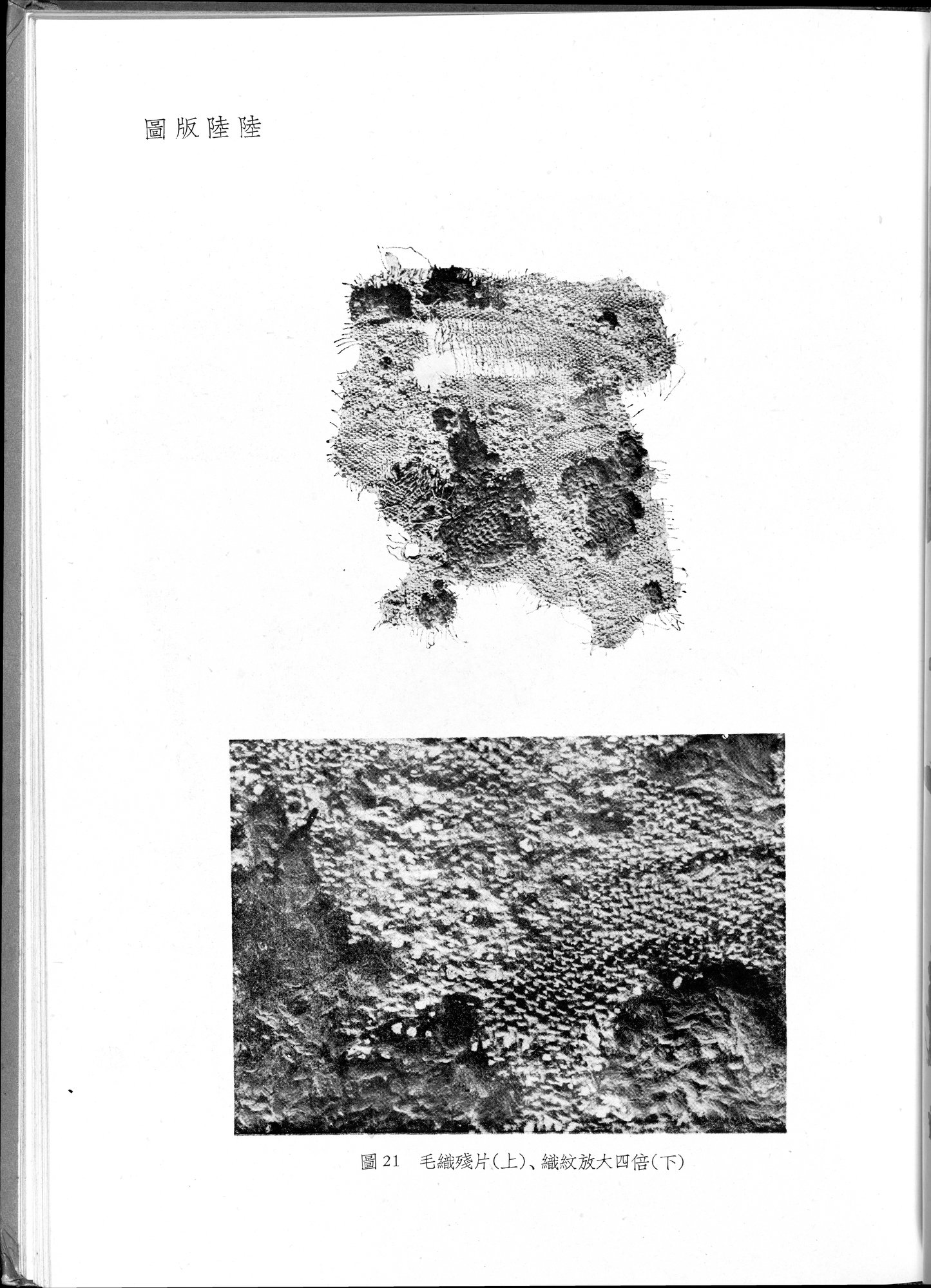 塔里木盆地考古記 : vol.1 / Page 295 (Grayscale High Resolution Image)