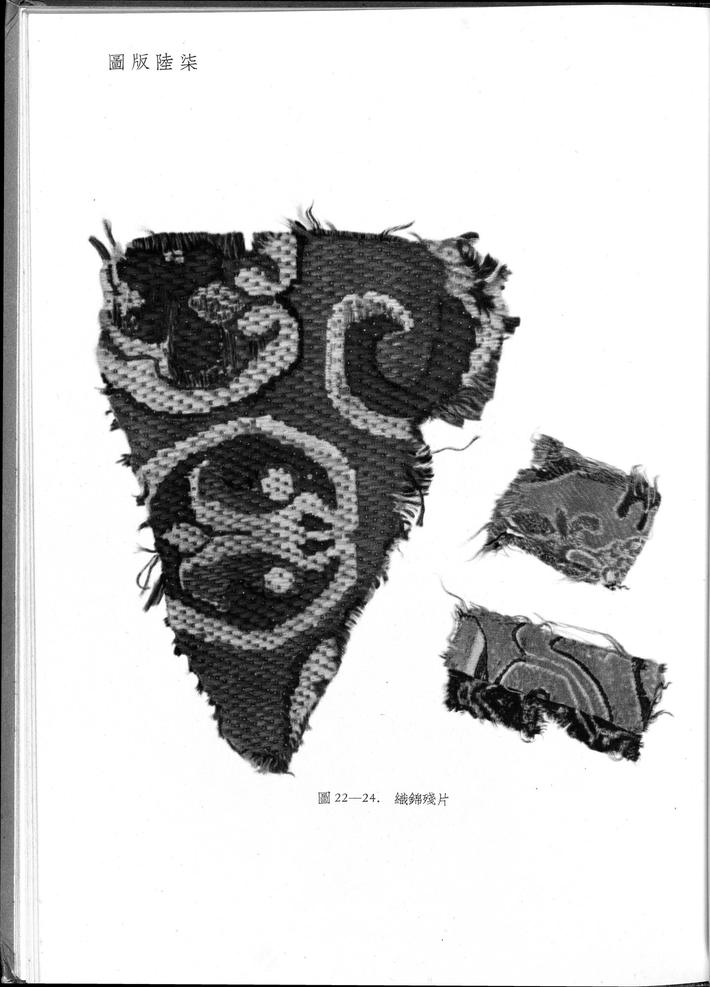 塔里木盆地考古記 : vol.1 / 297 ページ（白黒高解像度画像）