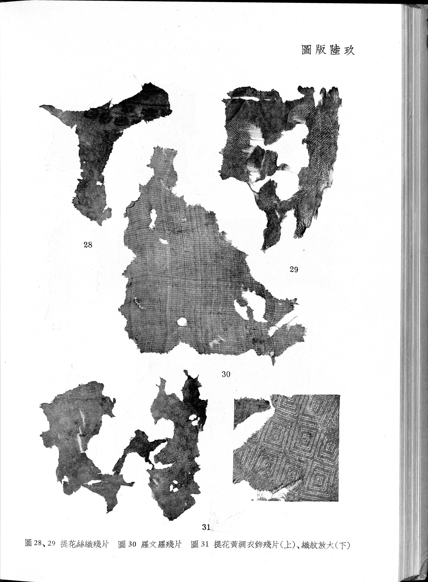 塔里木盆地考古記 : vol.1 / Page 300 (Grayscale High Resolution Image)