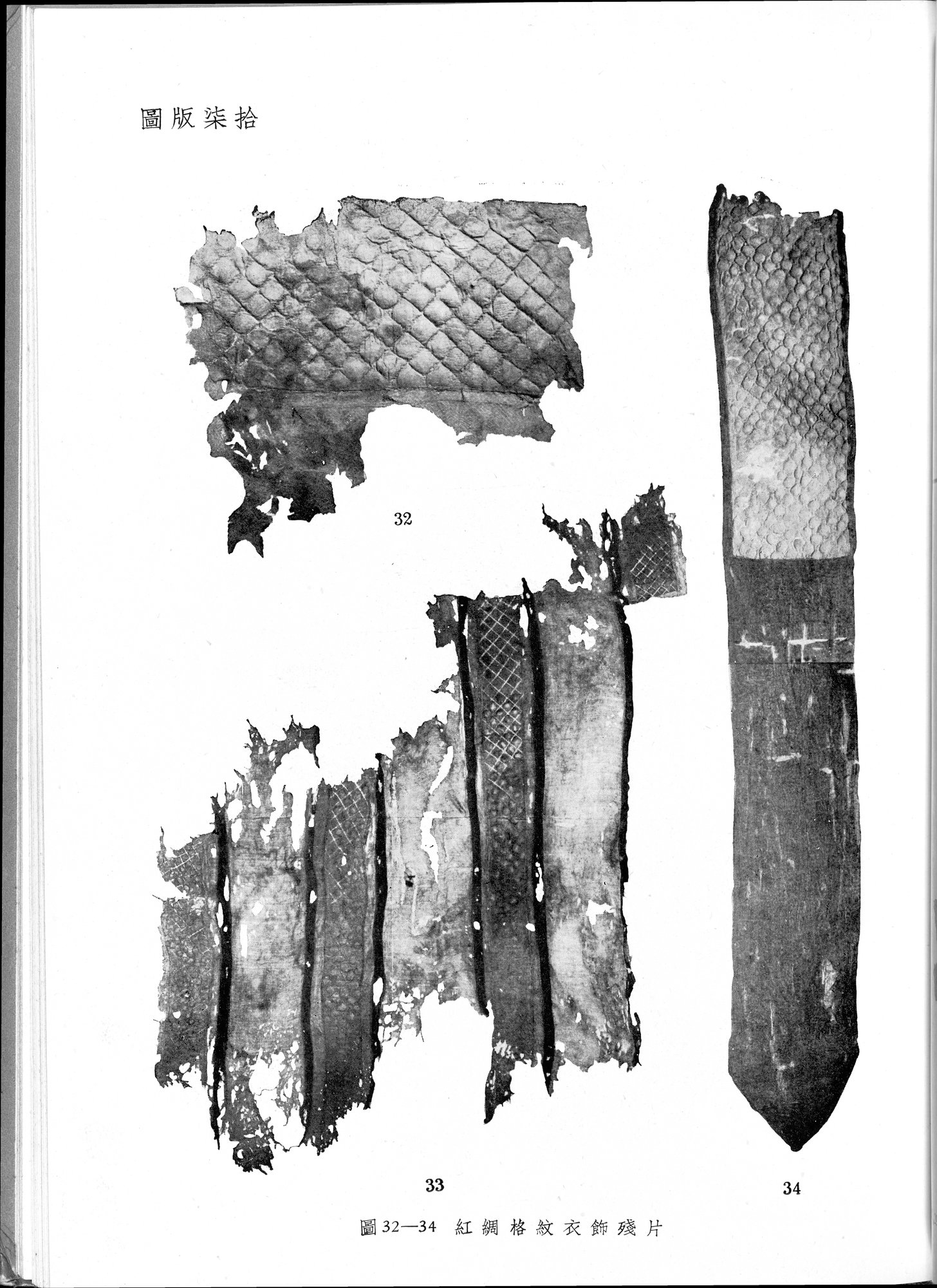 塔里木盆地考古記 : vol.1 / 301 ページ（白黒高解像度画像）