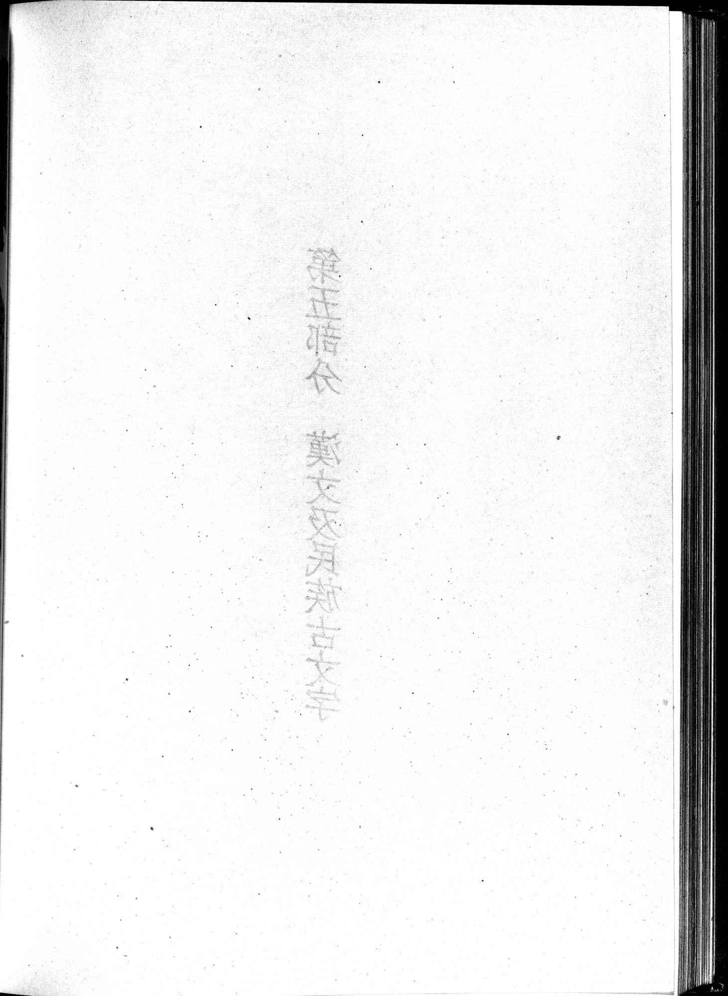 塔里木盆地考古記 : vol.1 / Page 304 (Grayscale High Resolution Image)