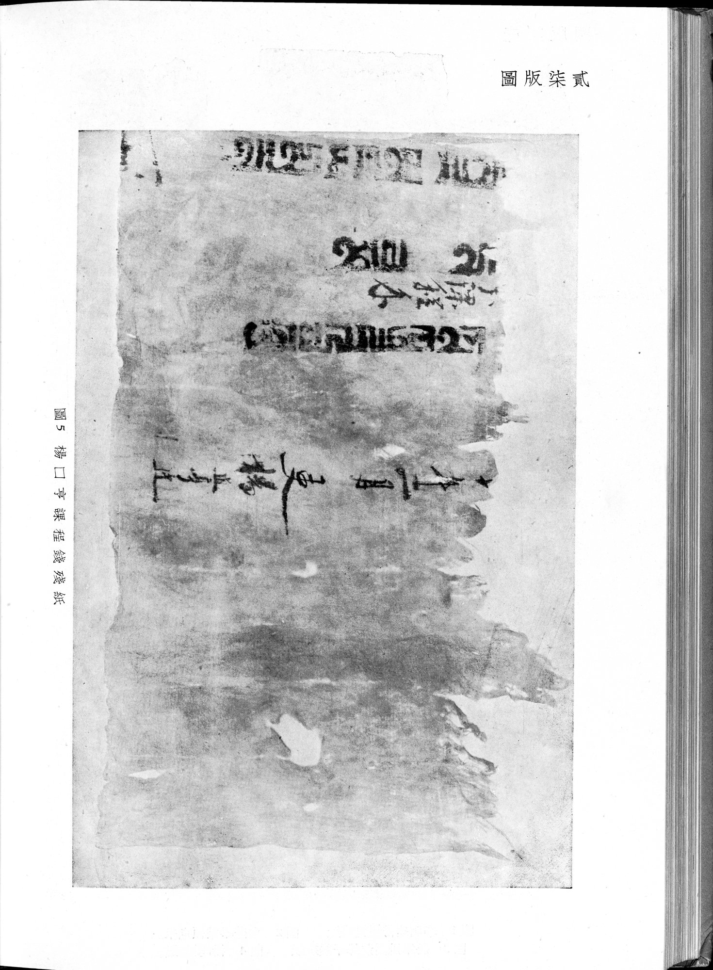 塔里木盆地考古記 : vol.1 / Page 306 (Grayscale High Resolution Image)