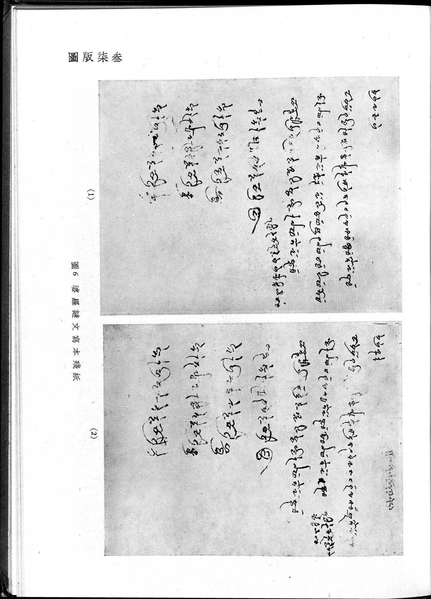 塔里木盆地考古記 : vol.1 / 307 ページ（白黒高解像度画像）