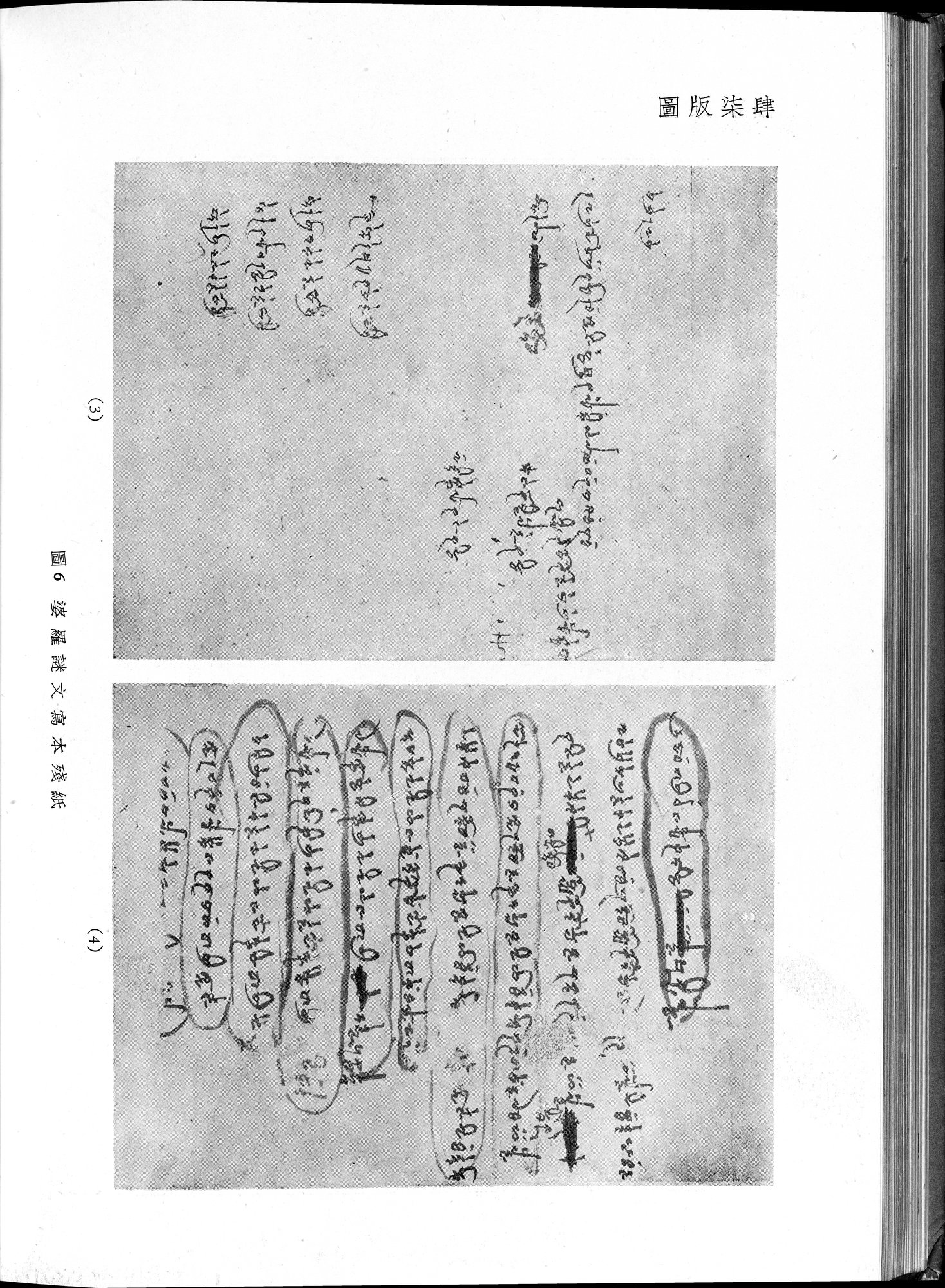 塔里木盆地考古記 : vol.1 / 308 ページ（白黒高解像度画像）