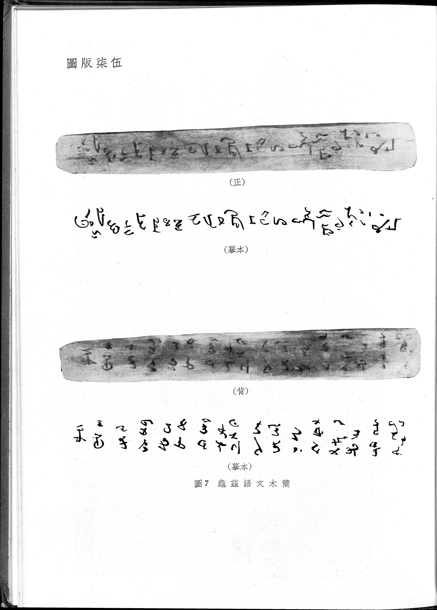 塔里木盆地考古記 : vol.1 / 309 ページ（白黒高解像度画像）