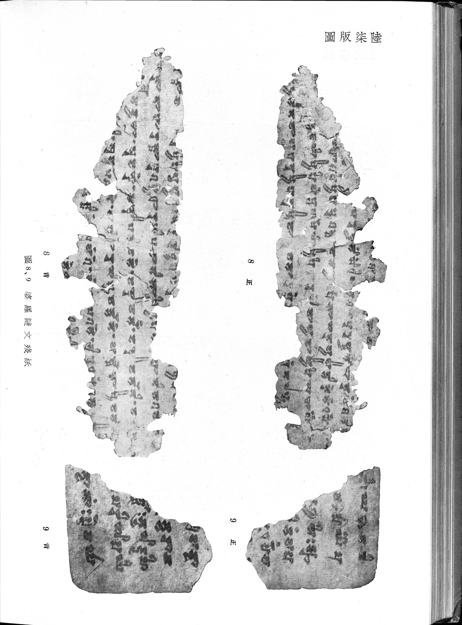 塔里木盆地考古記 : vol.1 / 310 ページ（白黒高解像度画像）