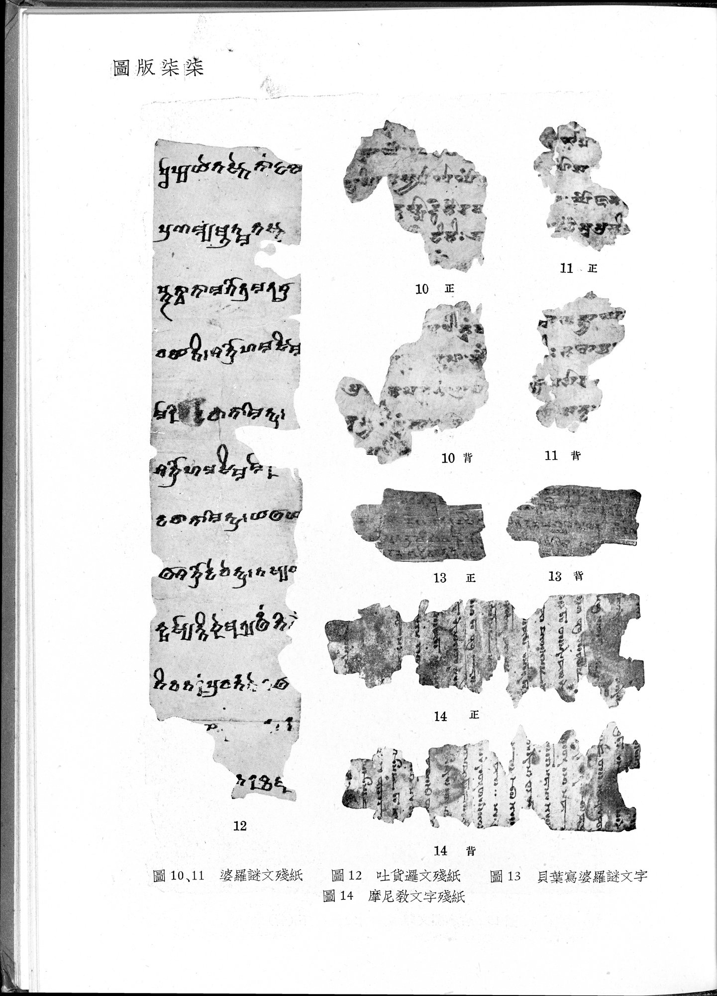 塔里木盆地考古記 : vol.1 / 311 ページ（白黒高解像度画像）