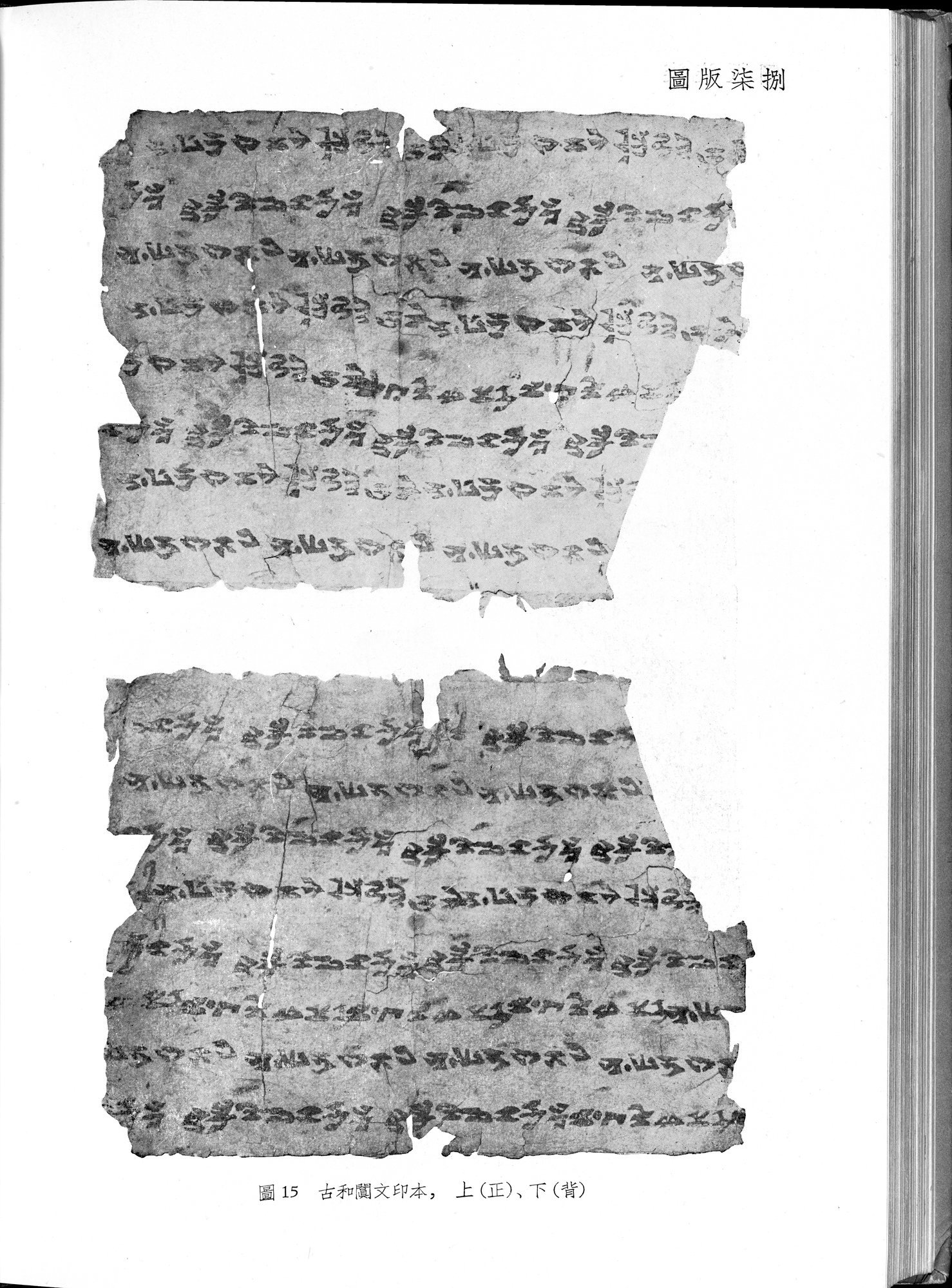 塔里木盆地考古記 : vol.1 / 312 ページ（白黒高解像度画像）