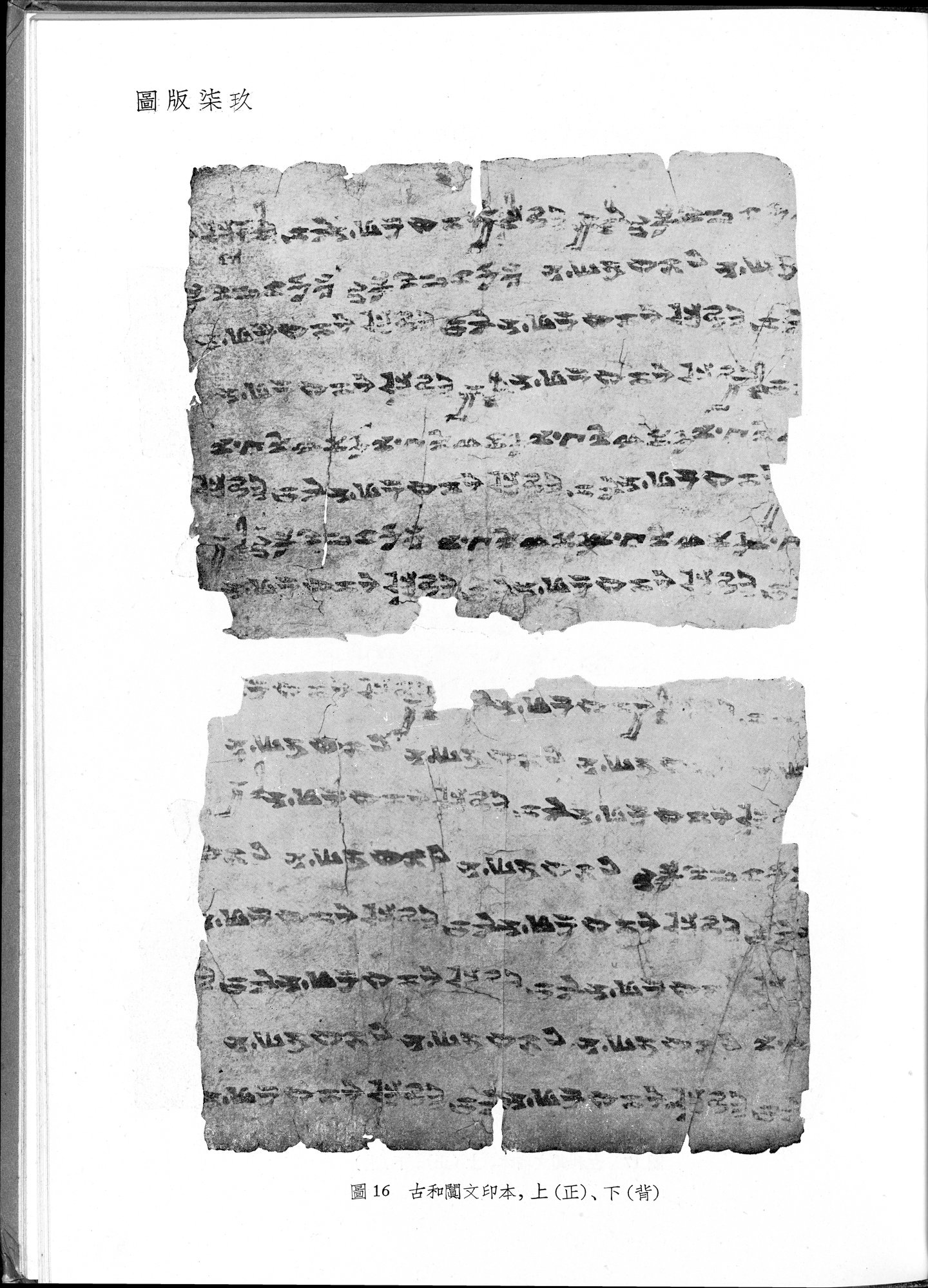 塔里木盆地考古記 : vol.1 / 313 ページ（白黒高解像度画像）