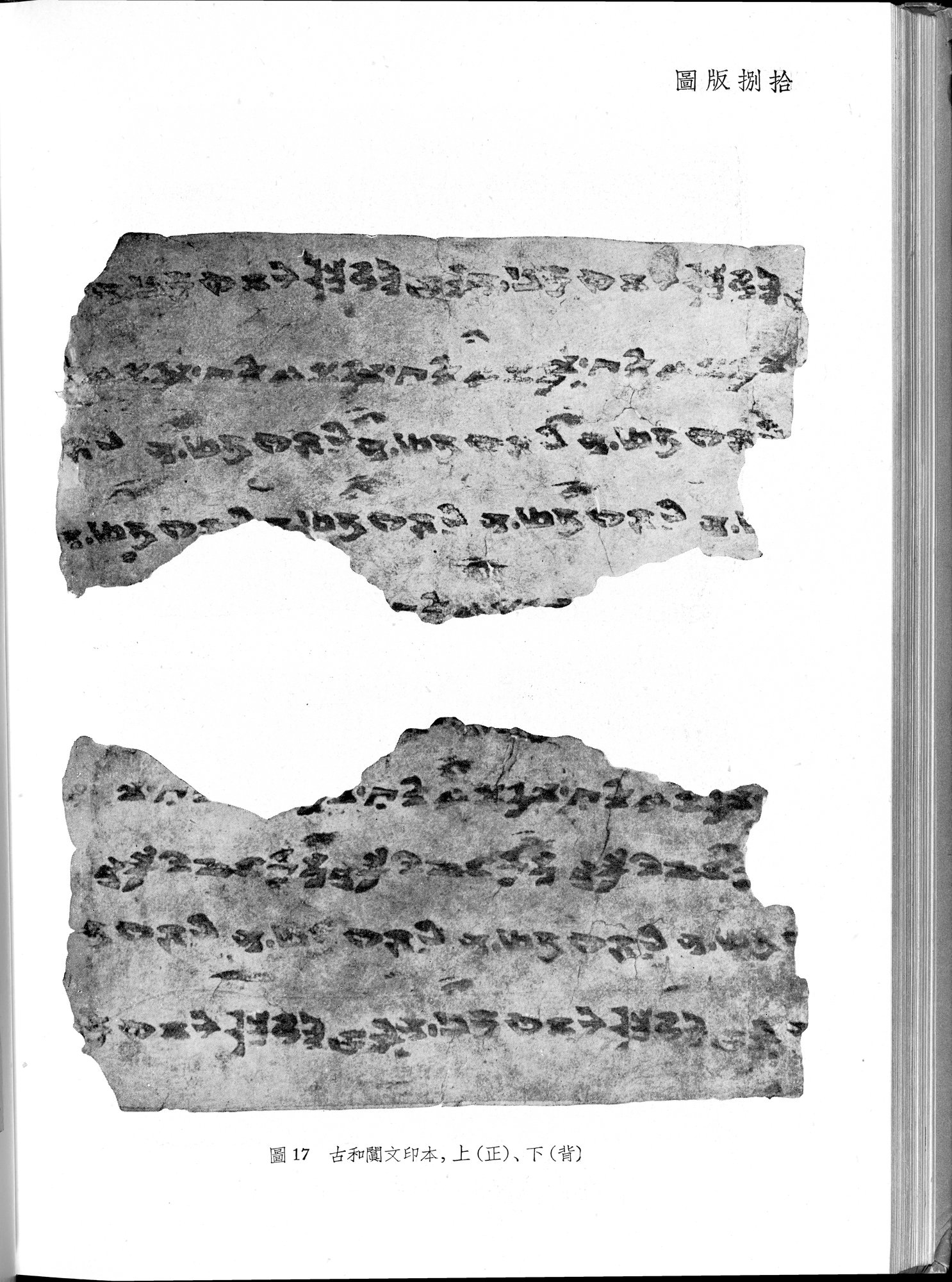 塔里木盆地考古記 : vol.1 / 314 ページ（白黒高解像度画像）