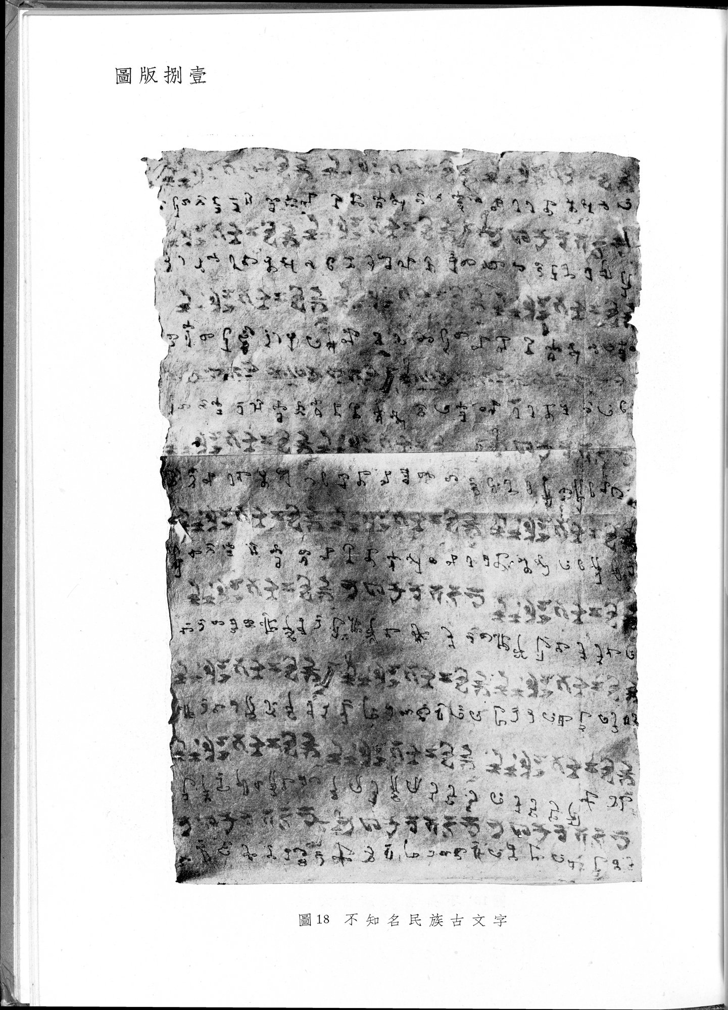 塔里木盆地考古記 : vol.1 / 315 ページ（白黒高解像度画像）