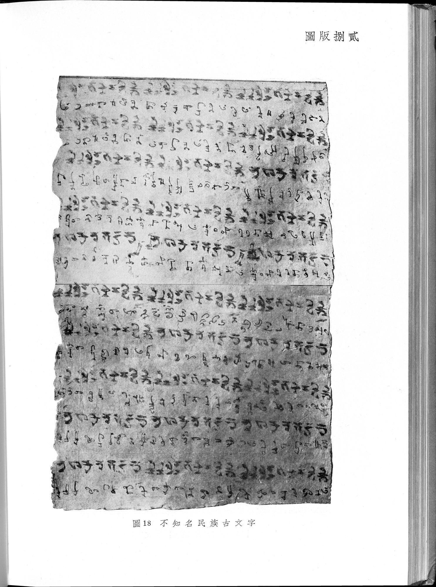 塔里木盆地考古記 : vol.1 / 316 ページ（白黒高解像度画像）