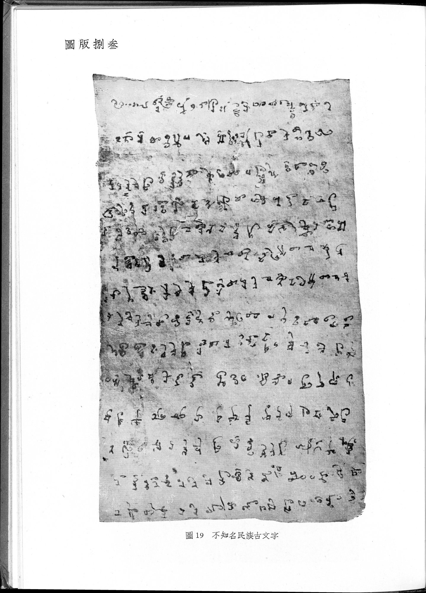 塔里木盆地考古記 : vol.1 / 317 ページ（白黒高解像度画像）