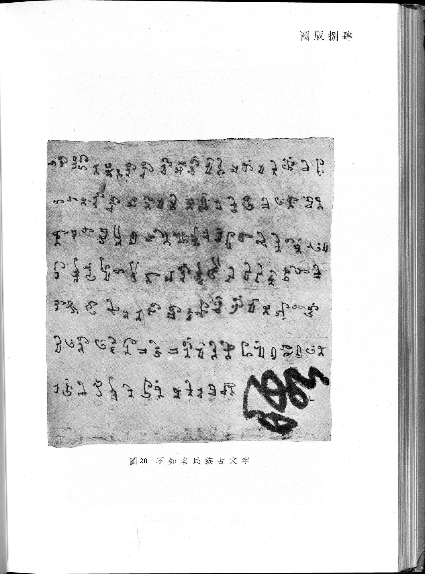 塔里木盆地考古記 : vol.1 / 318 ページ（白黒高解像度画像）