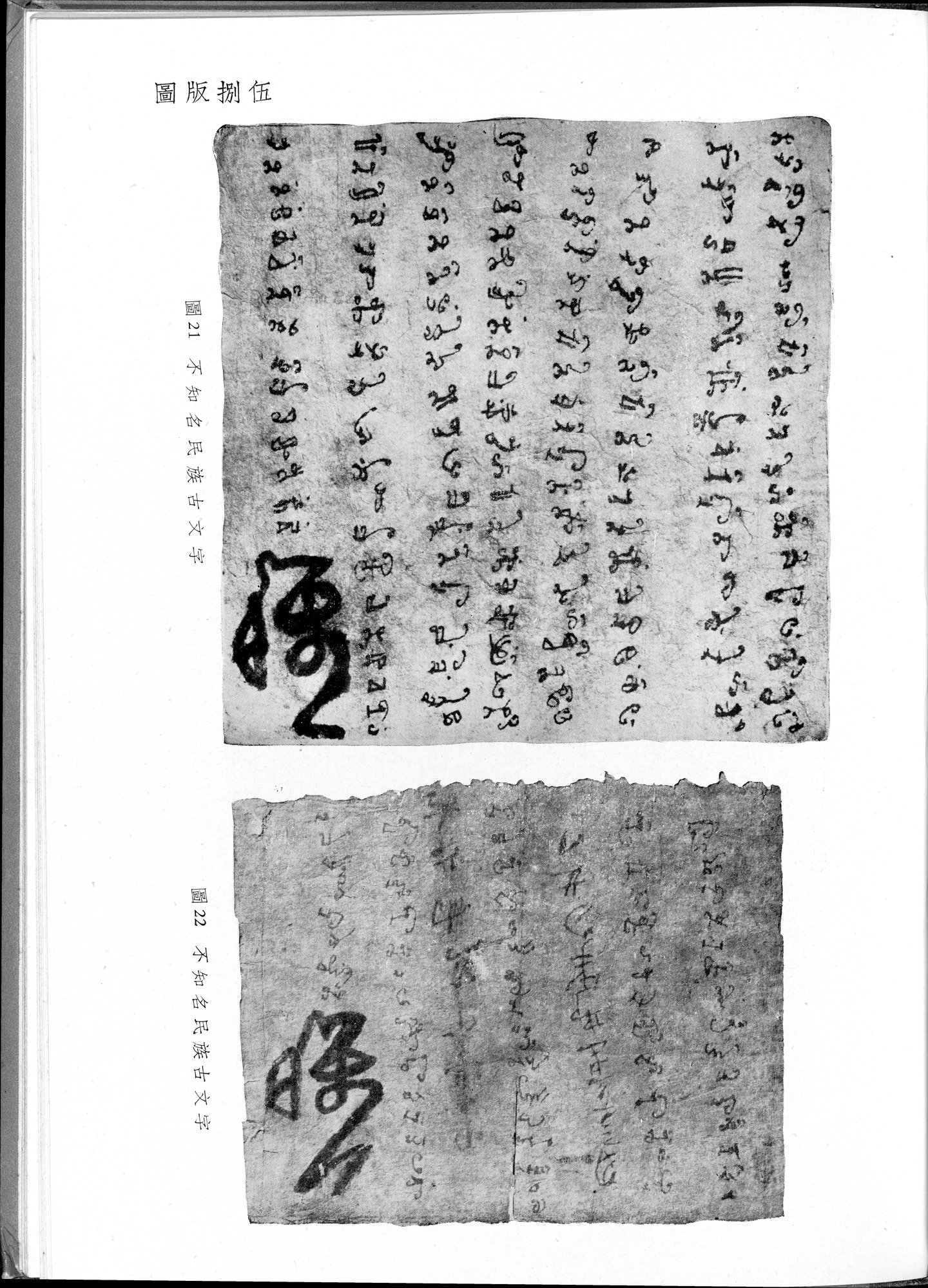 塔里木盆地考古記 : vol.1 / 319 ページ（白黒高解像度画像）