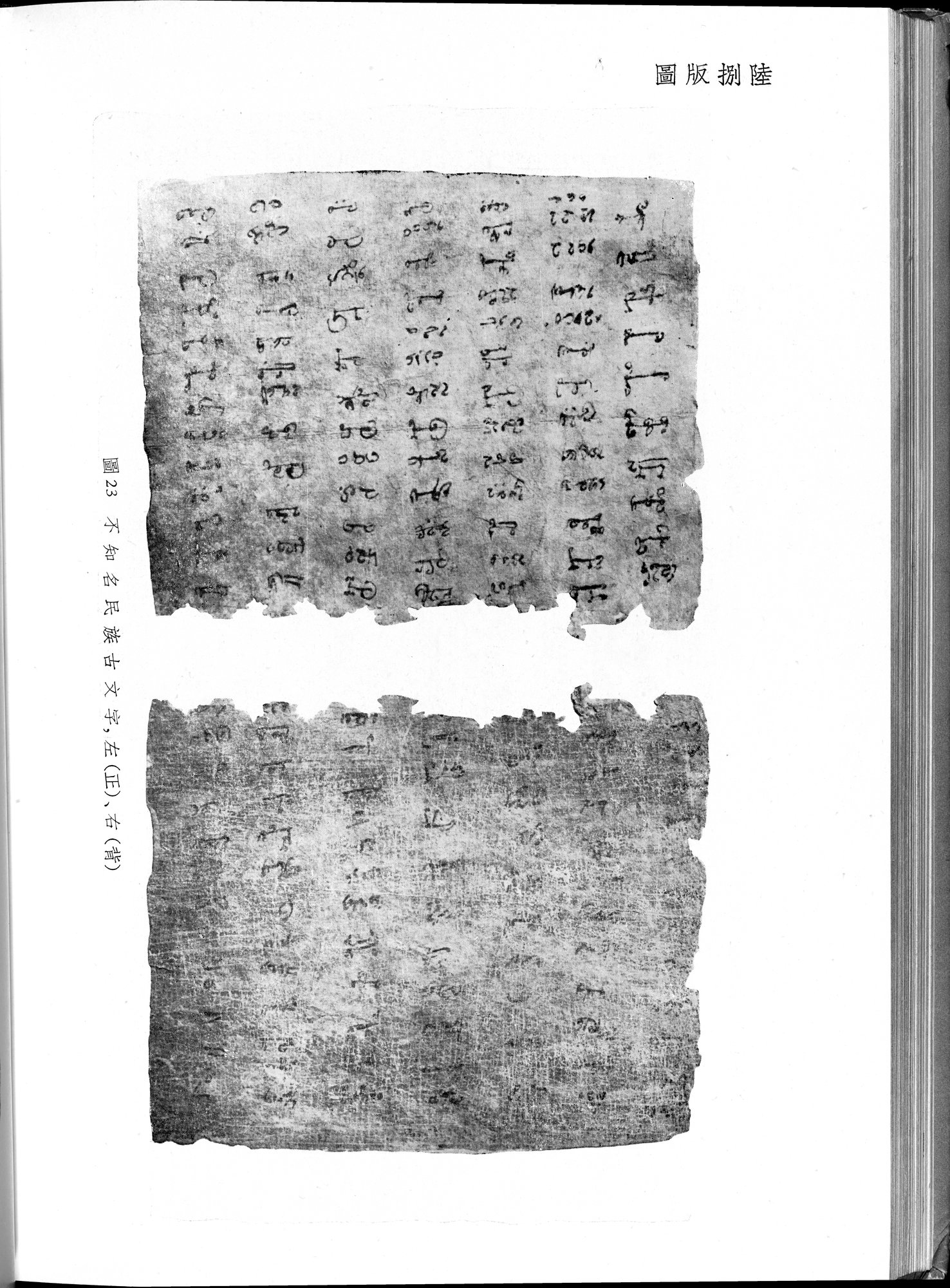 塔里木盆地考古記 : vol.1 / 320 ページ（白黒高解像度画像）