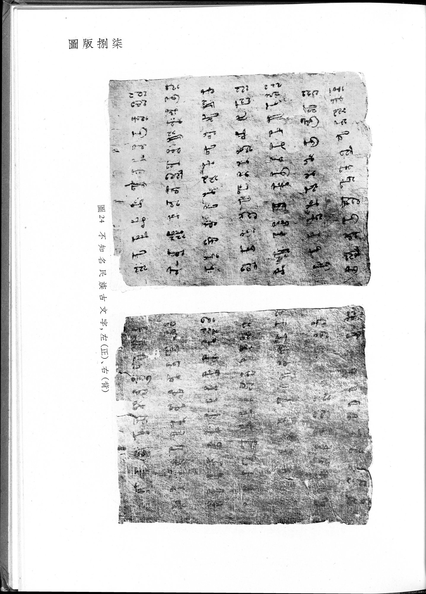 塔里木盆地考古記 : vol.1 / 321 ページ（白黒高解像度画像）