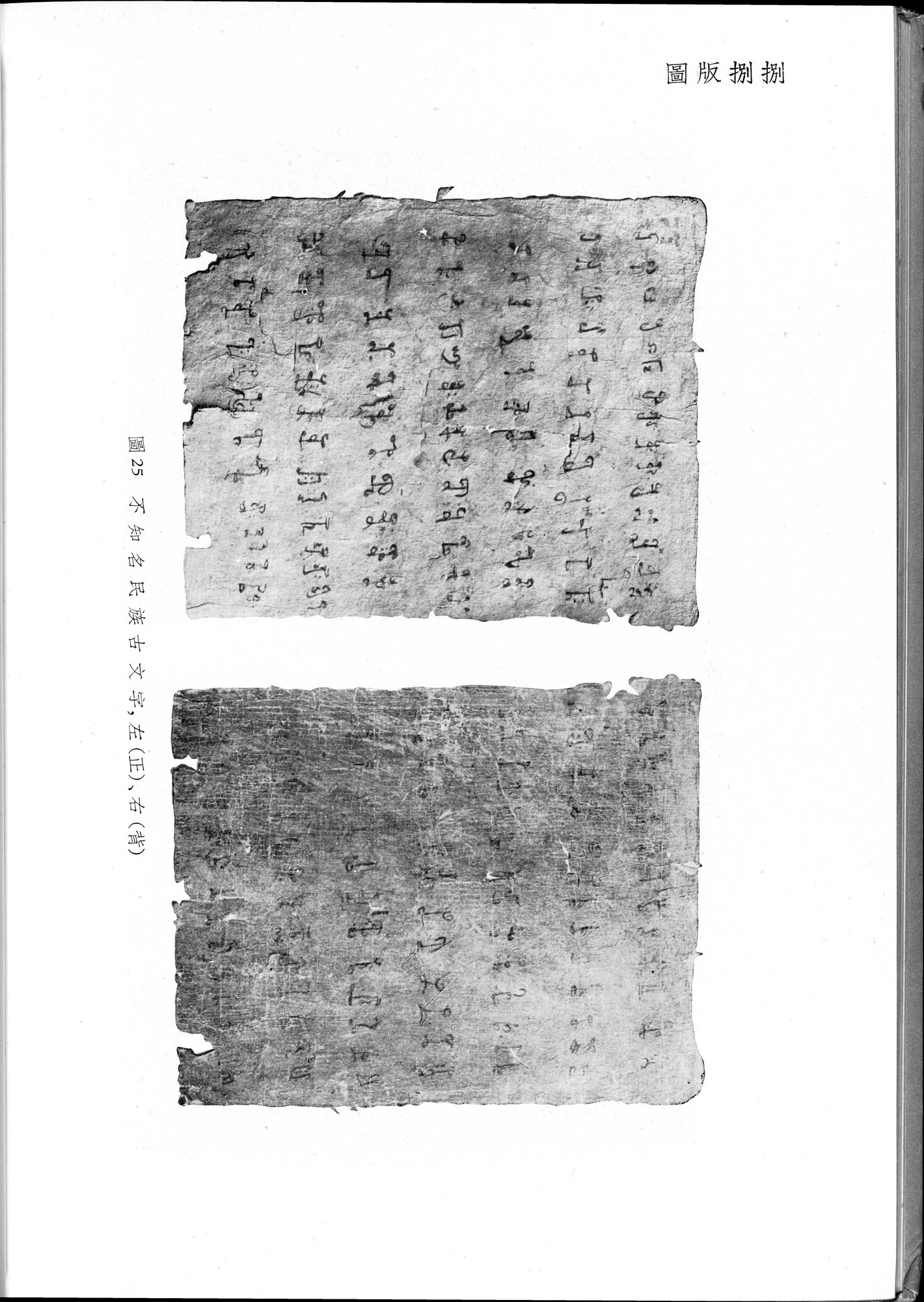 塔里木盆地考古記 : vol.1 / 322 ページ（白黒高解像度画像）