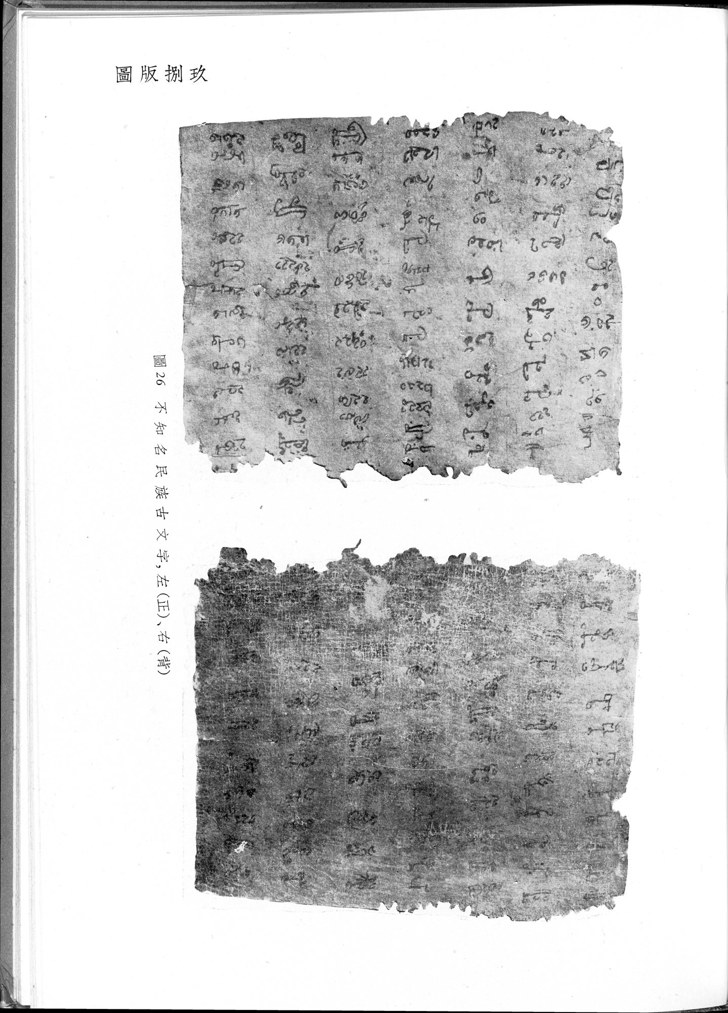 塔里木盆地考古記 : vol.1 / 323 ページ（白黒高解像度画像）