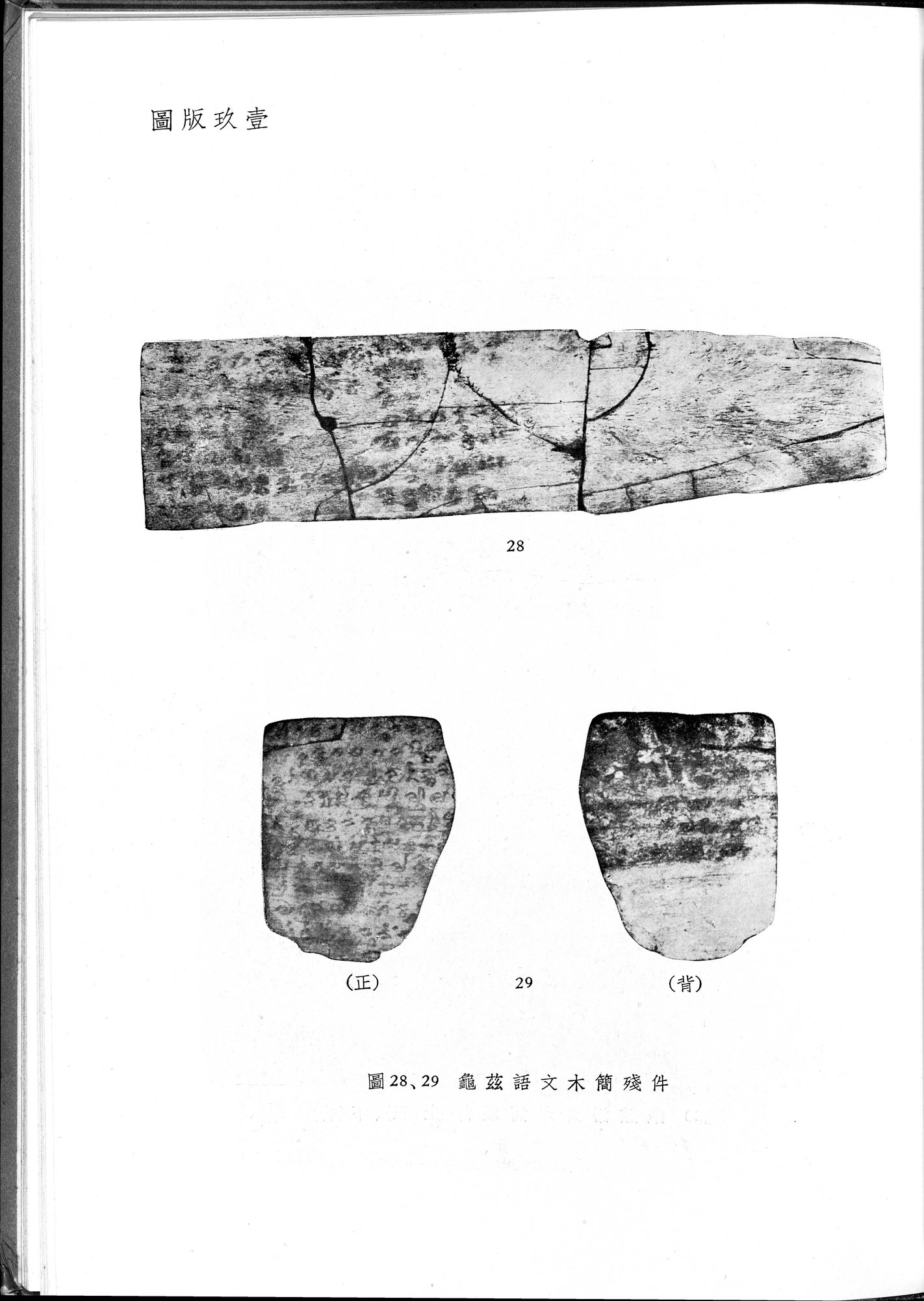 塔里木盆地考古記 : vol.1 / 325 ページ（白黒高解像度画像）