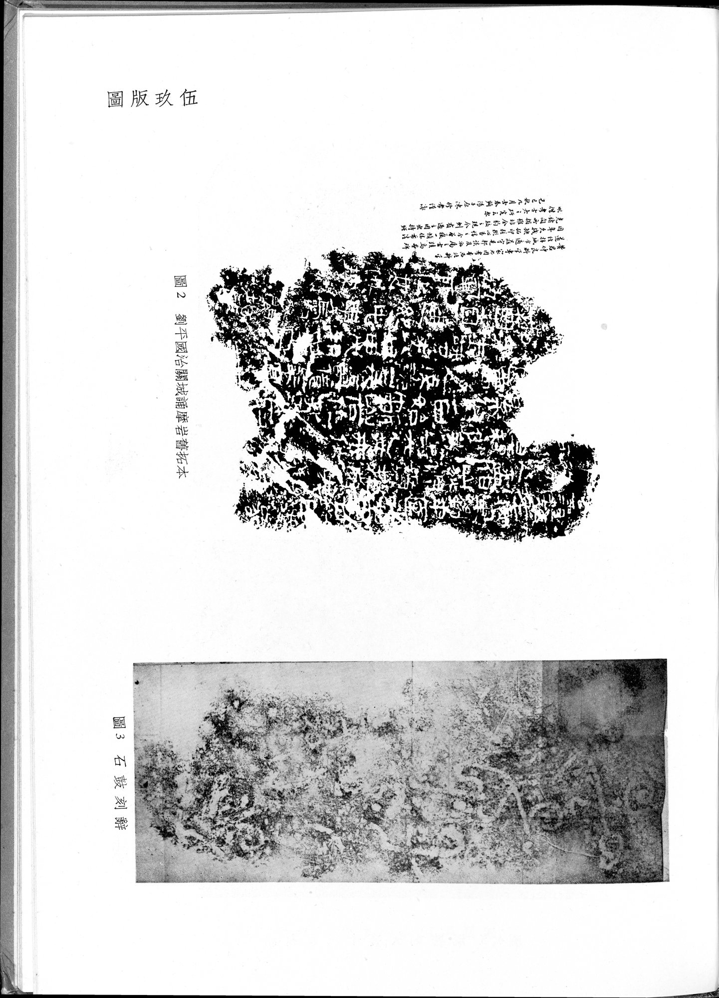 塔里木盆地考古記 : vol.1 / 329 ページ（白黒高解像度画像）