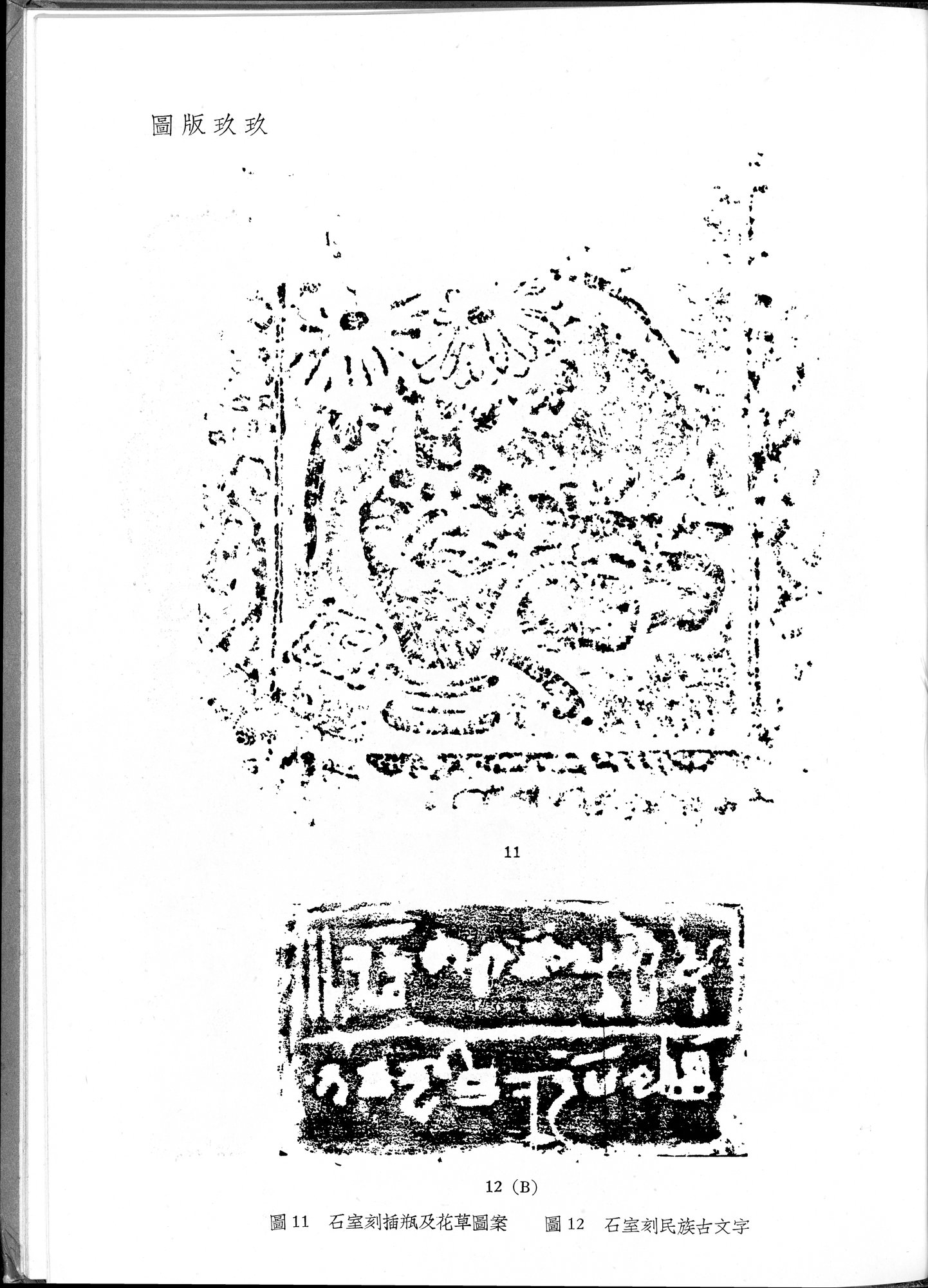塔里木盆地考古記 : vol.1 / 333 ページ（白黒高解像度画像）