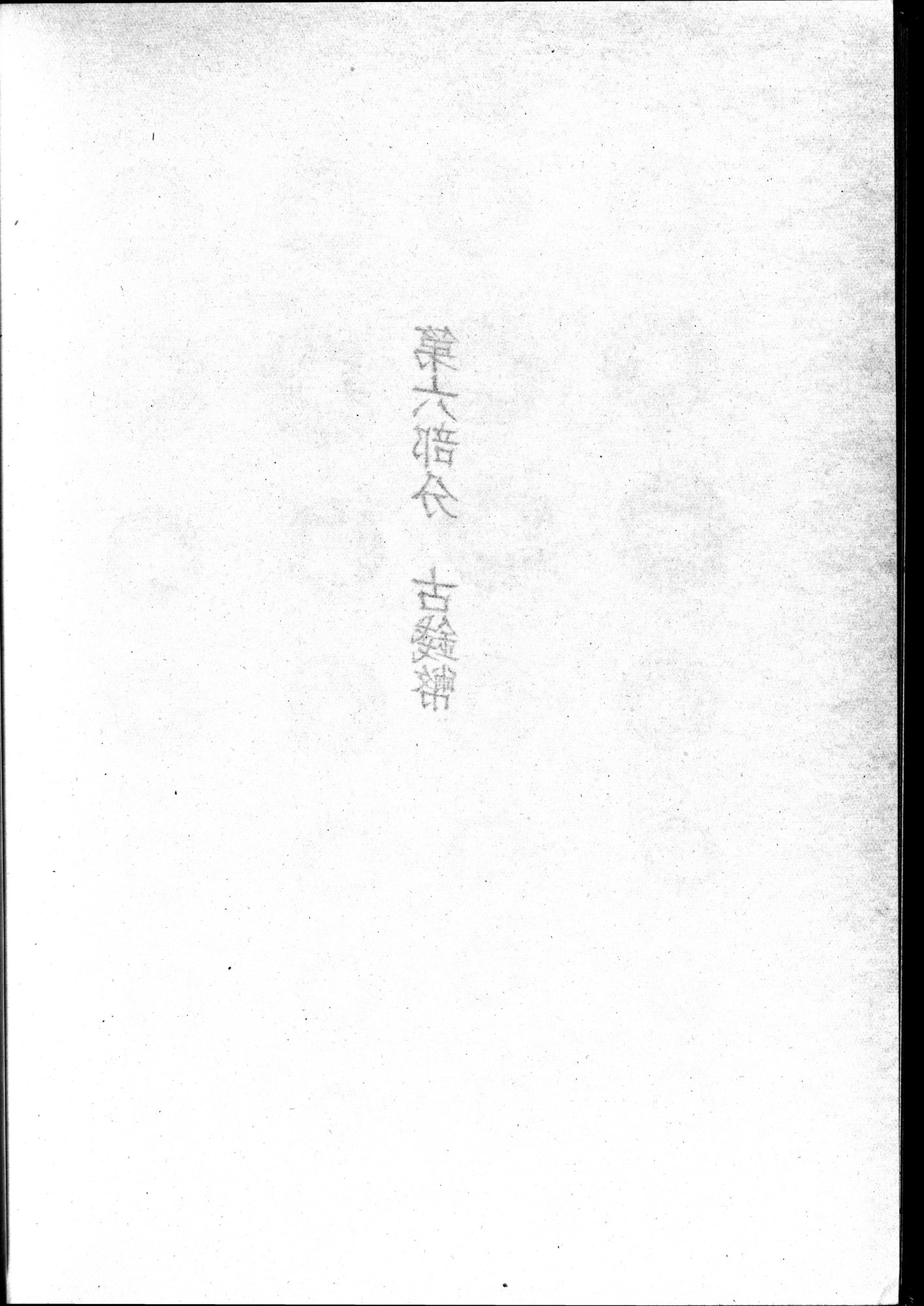 塔里木盆地考古記 : vol.1 / Page 338 (Grayscale High Resolution Image)