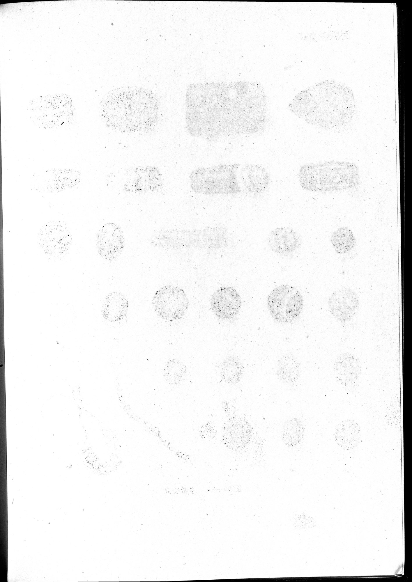 塔里木盆地考古記 : vol.1 / 354 ページ（白黒高解像度画像）