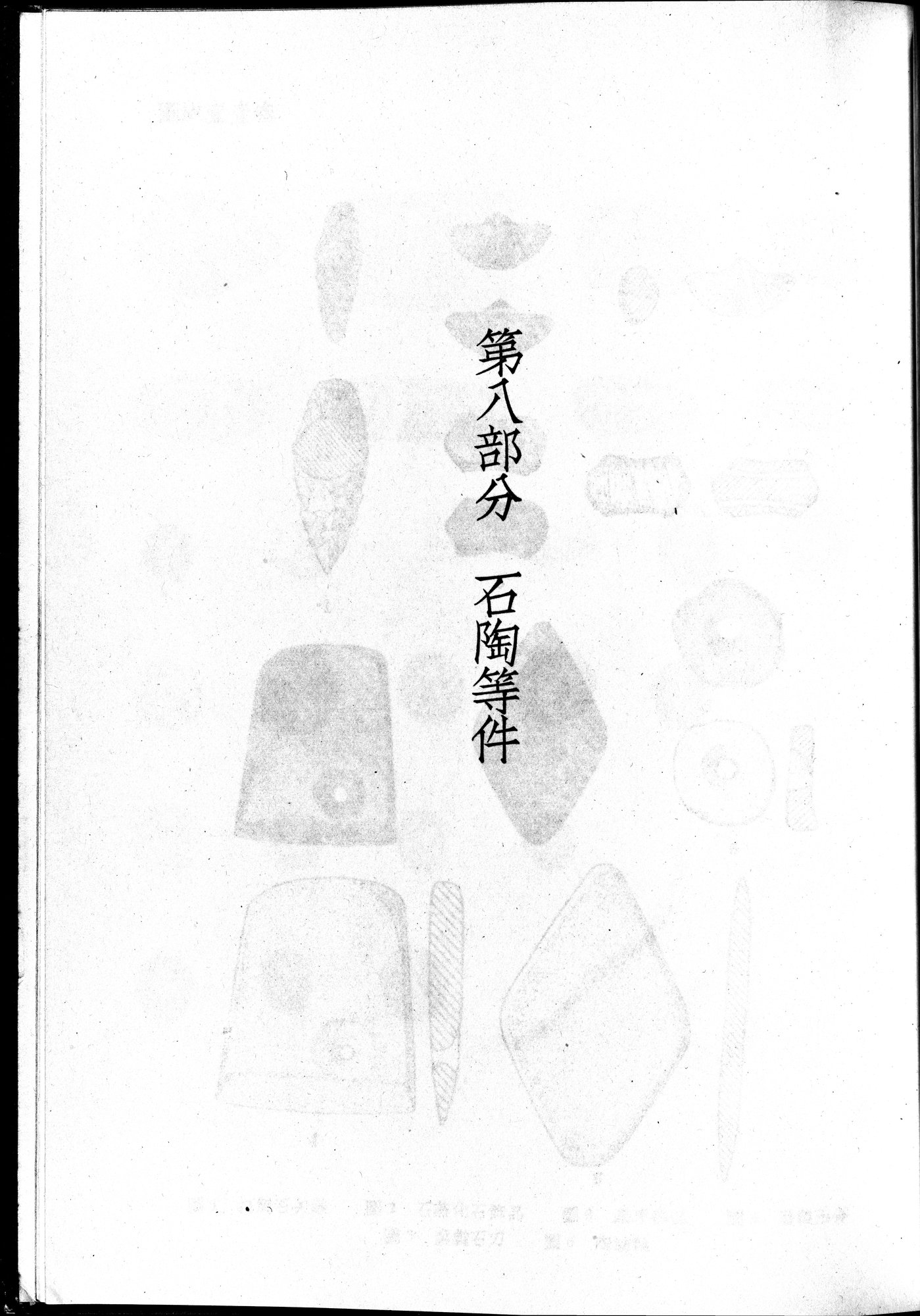 塔里木盆地考古記 : vol.1 / 355 ページ（白黒高解像度画像）