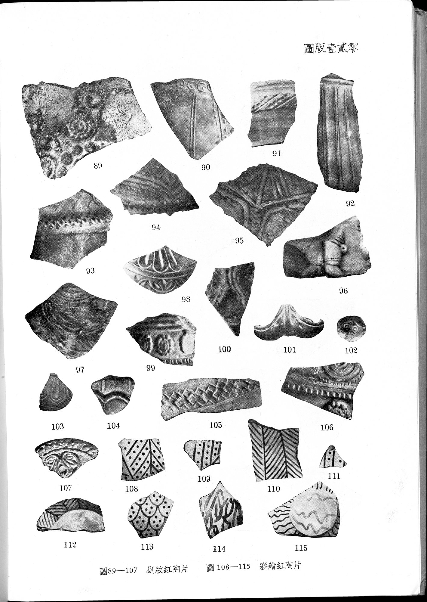 塔里木盆地考古記 : vol.1 / Page 364 (Grayscale High Resolution Image)