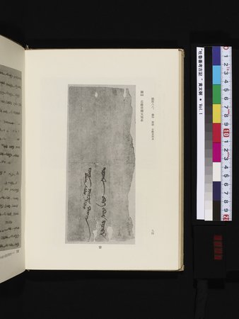 吐魯番考古記 : vol.1 : Page 204