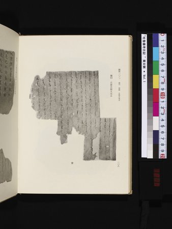 吐魯番考古記 : vol.1 : Page 218