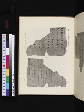 吐魯番考古記 : vol.1 : Page 219
