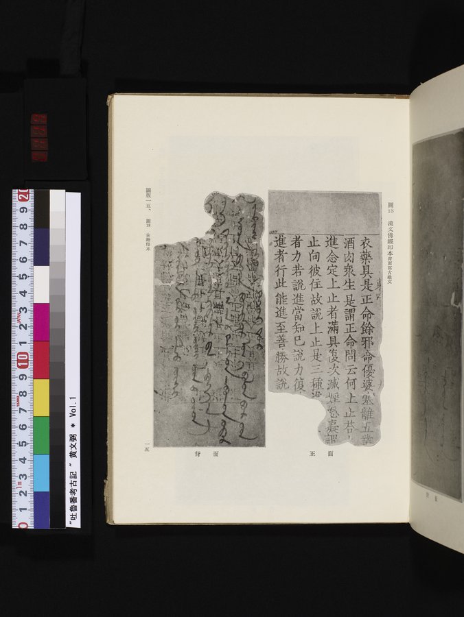吐魯番考古記 : vol.1 / 119 ページ（カラー画像）