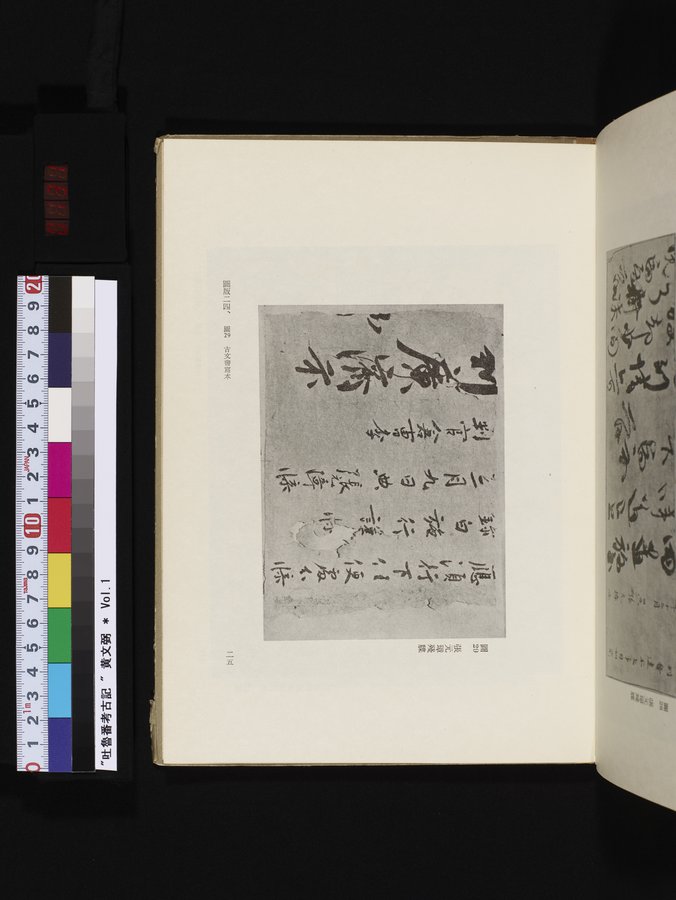 吐魯番考古記 : vol.1 / 131 ページ（カラー画像）