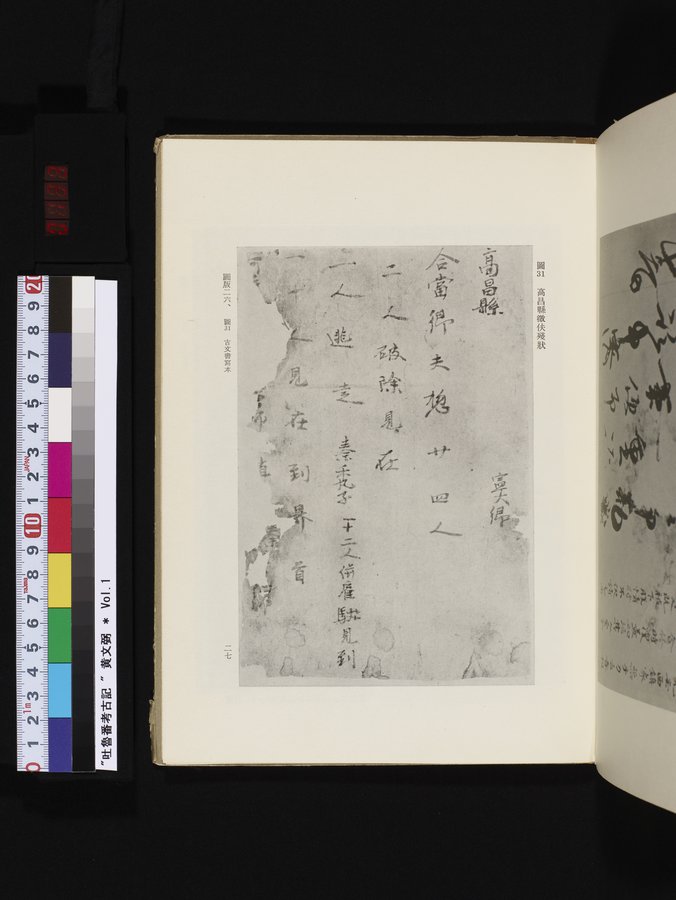 吐魯番考古記 : vol.1 / 133 ページ（カラー画像）