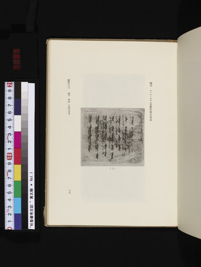 吐魯番考古記 : vol.1 / 189 ページ（カラー画像）