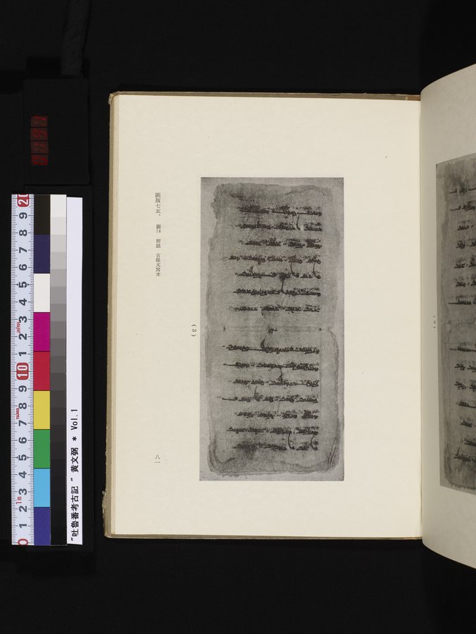 吐魯番考古記 : vol.1 / 191 ページ（カラー画像）