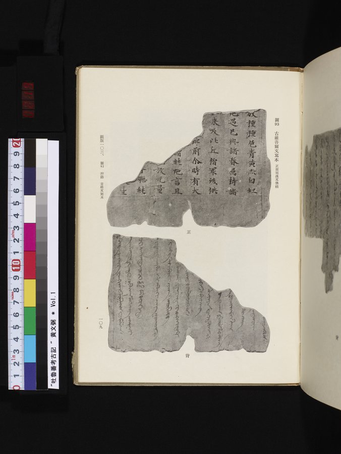 吐魯番考古記 : vol.1 / 219 ページ（カラー画像）