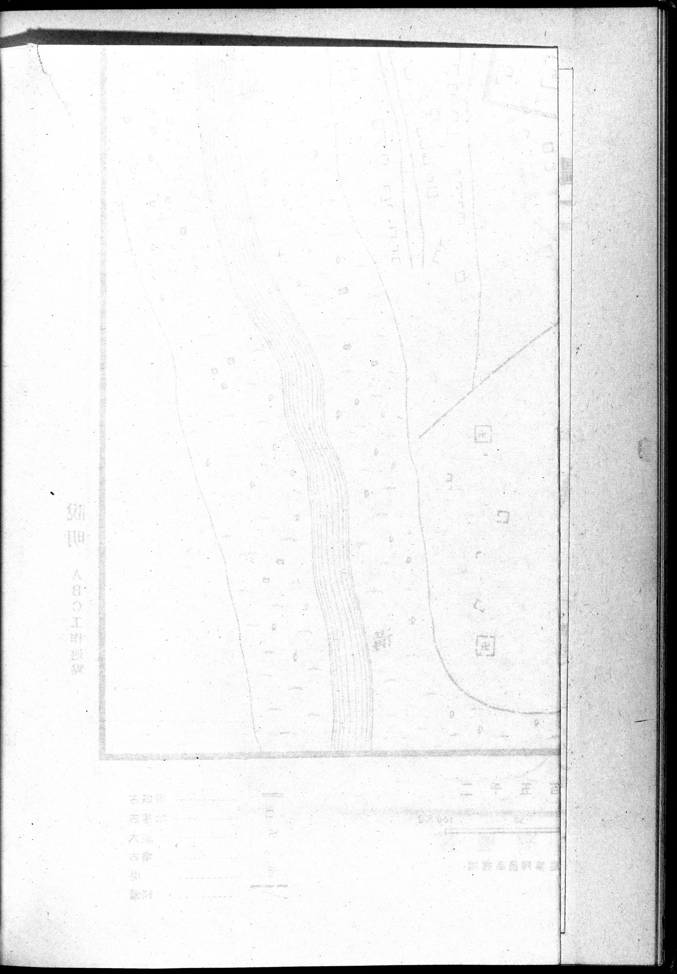 吐魯番考古記 : vol.1 / Page 40 (Grayscale High Resolution Image)