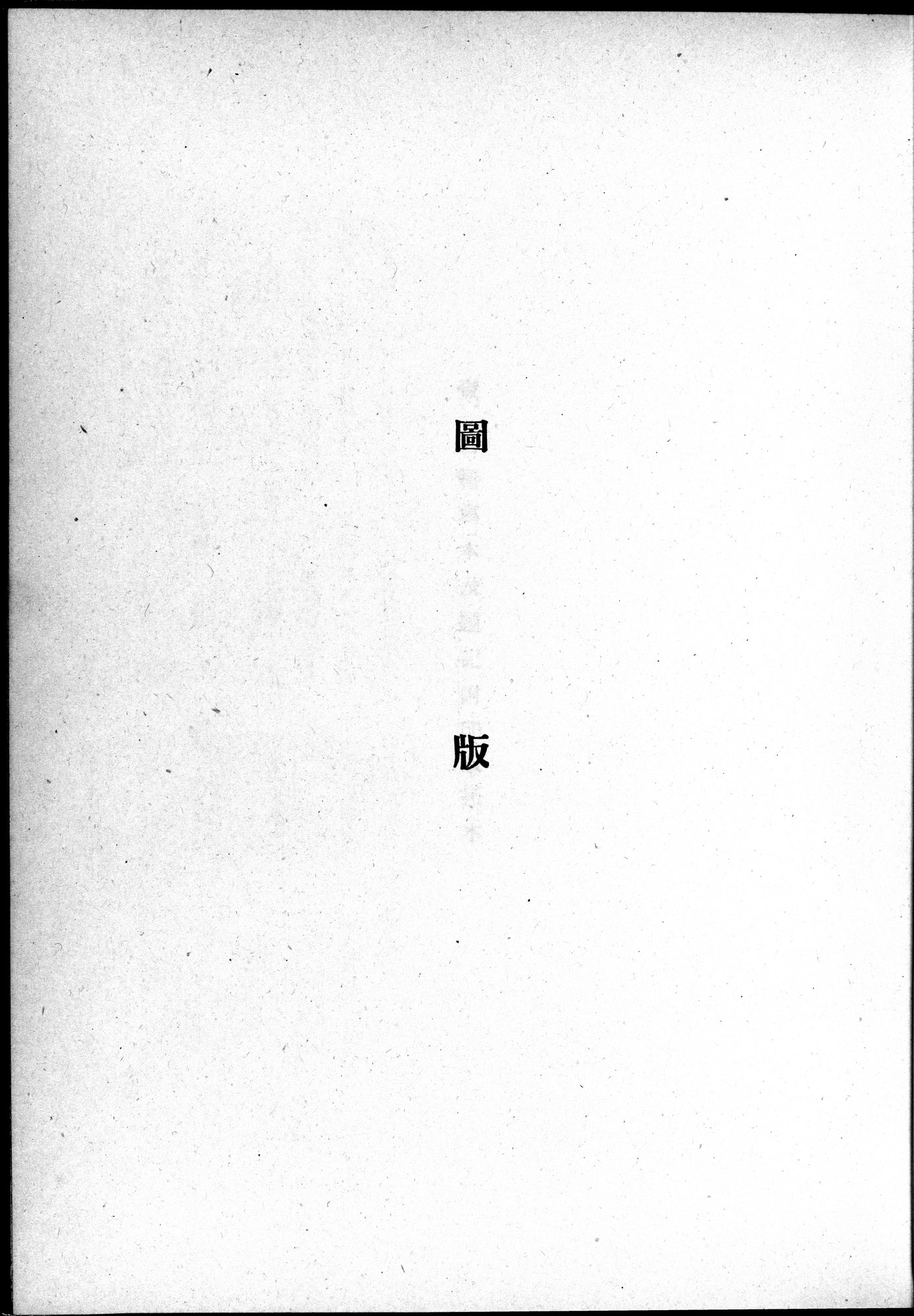 吐魯番考古記 : vol.1 / 101 ページ（白黒高解像度画像）