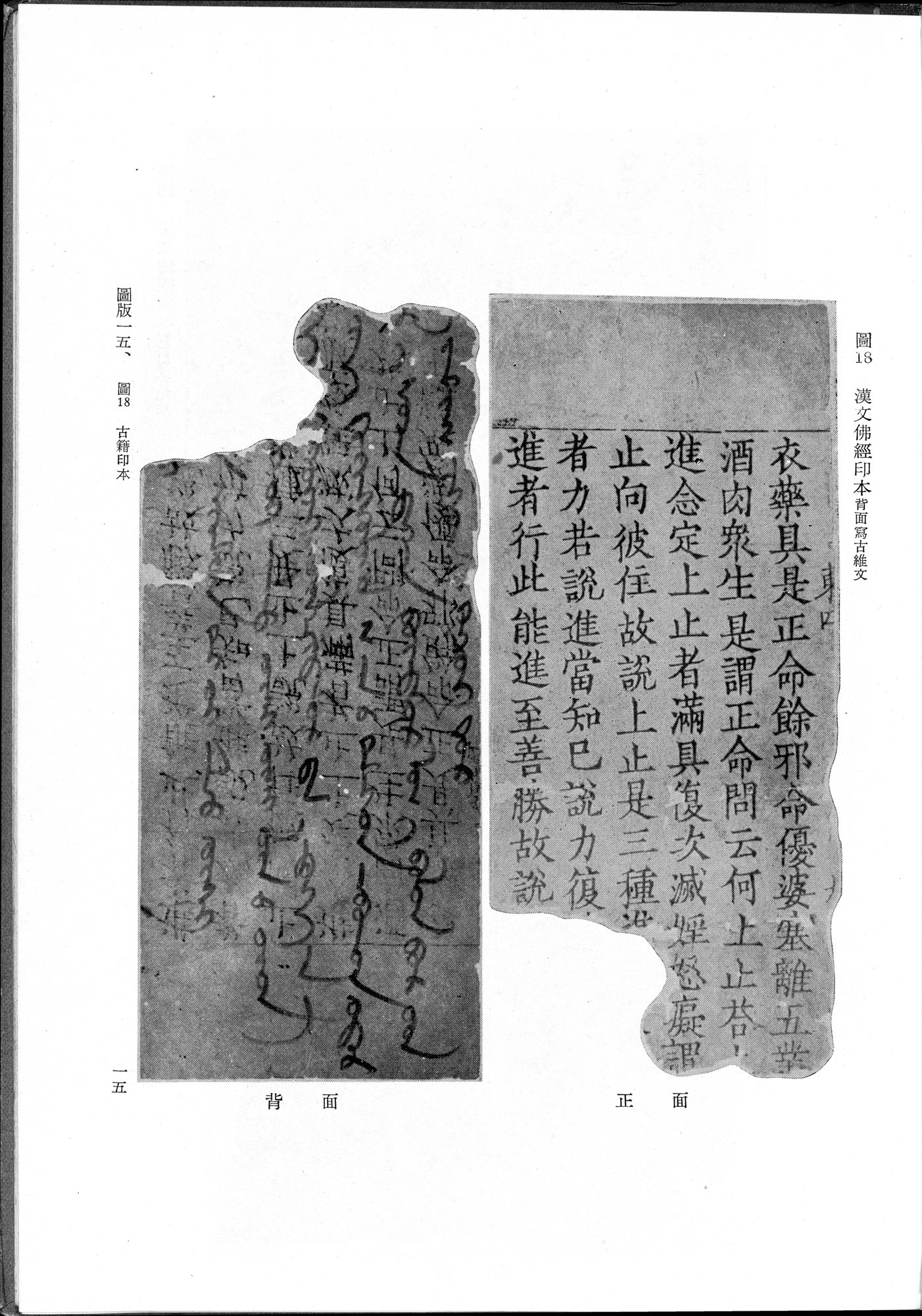 吐魯番考古記 : vol.1 / 119 ページ（白黒高解像度画像）