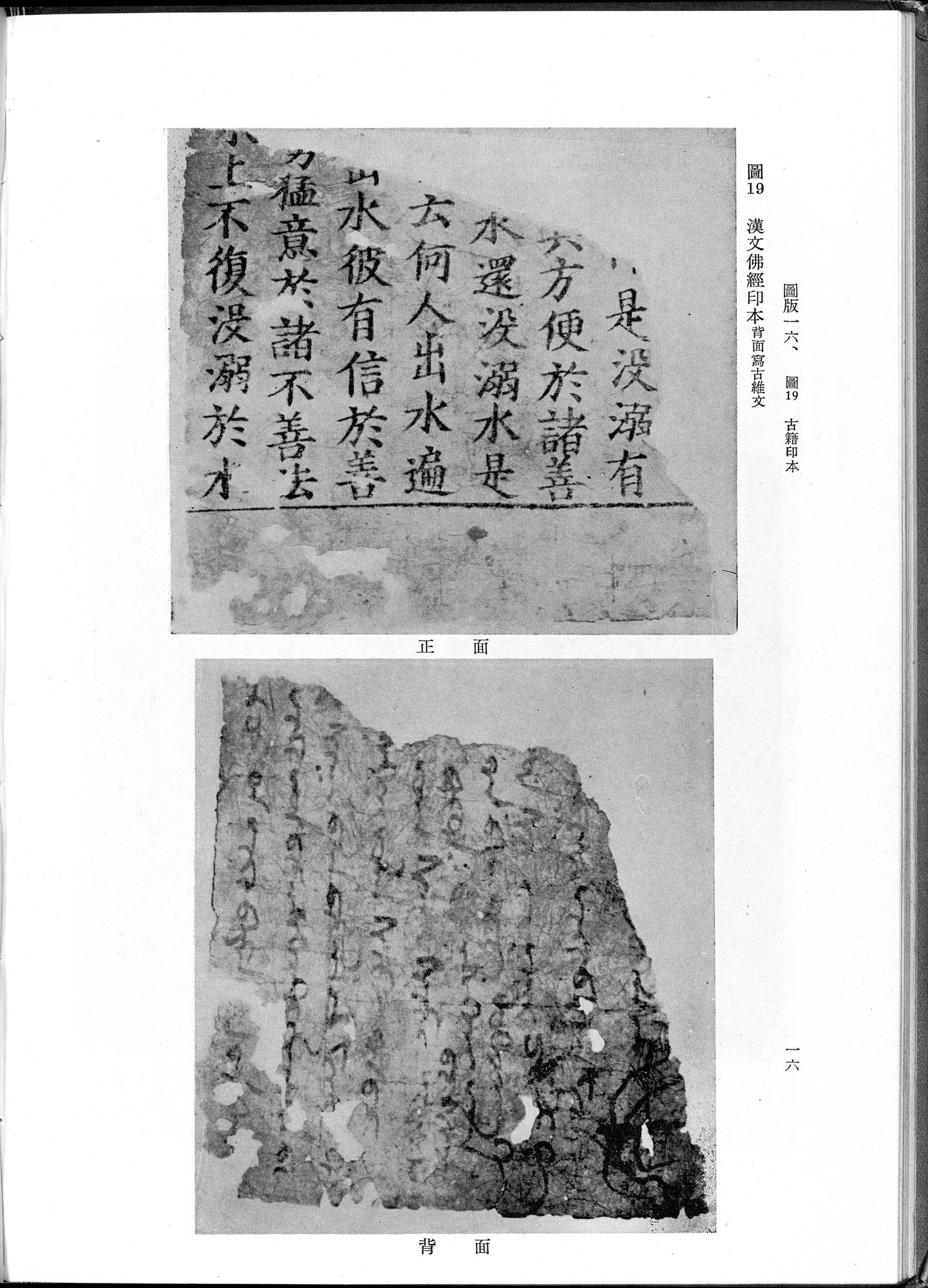 吐魯番考古記 : vol.1 / 120 ページ（白黒高解像度画像）