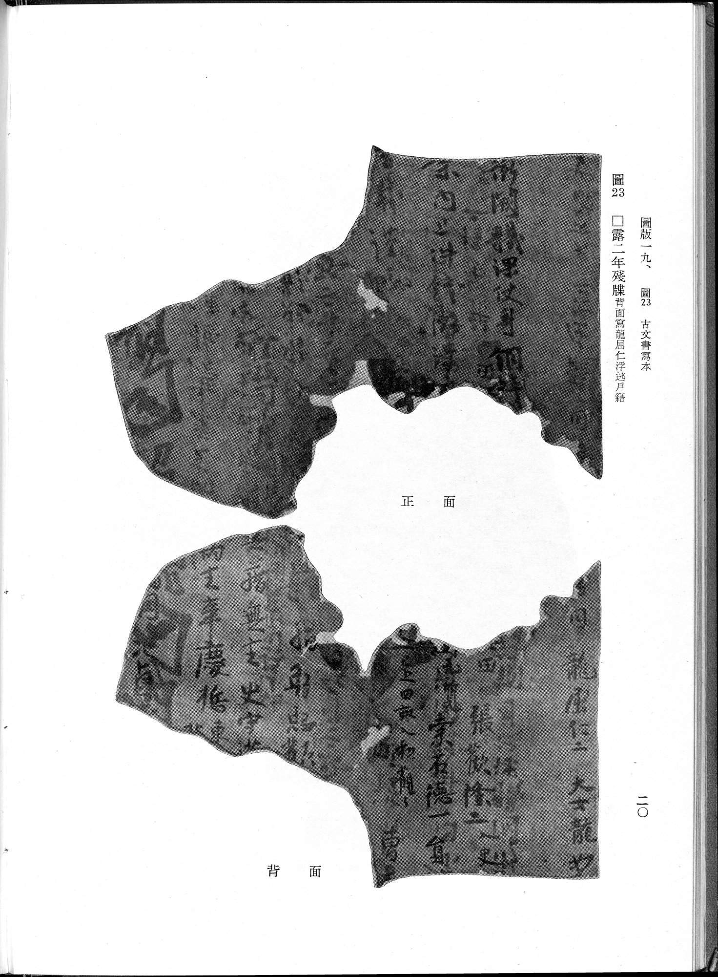 吐魯番考古記 : vol.1 / 126 ページ（白黒高解像度画像）
