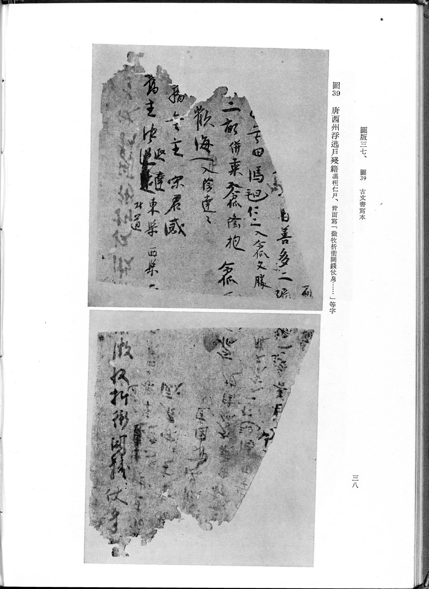 吐魯番考古記 : vol.1 / Page 144 (Grayscale High Resolution Image)