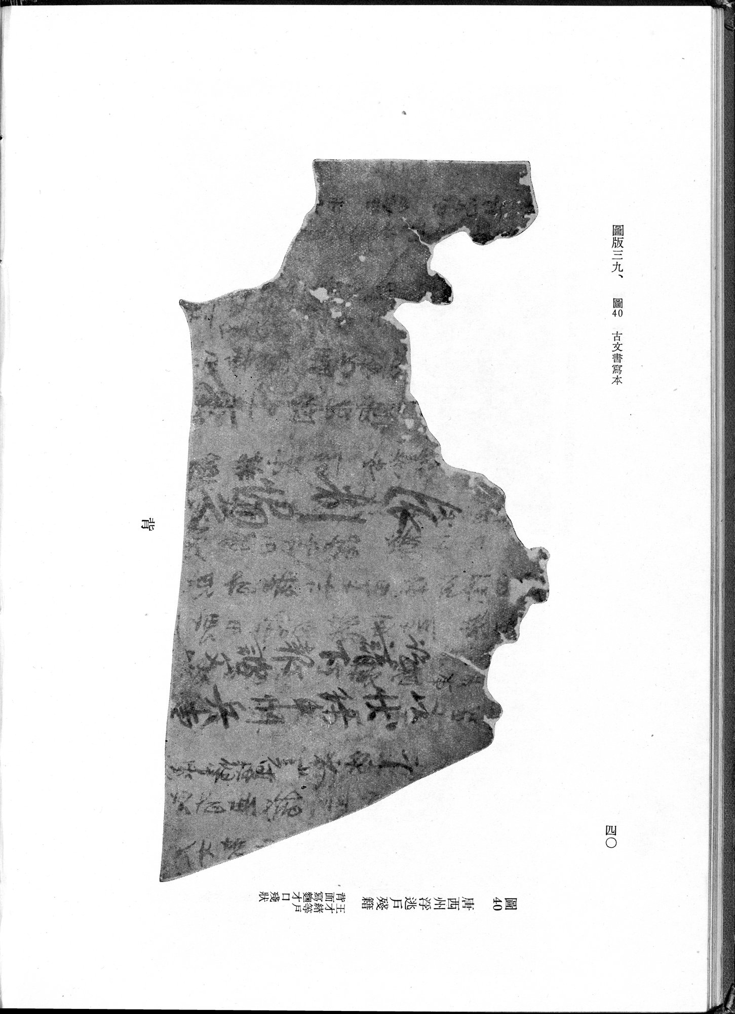 吐魯番考古記 : vol.1 / 146 ページ（白黒高解像度画像）