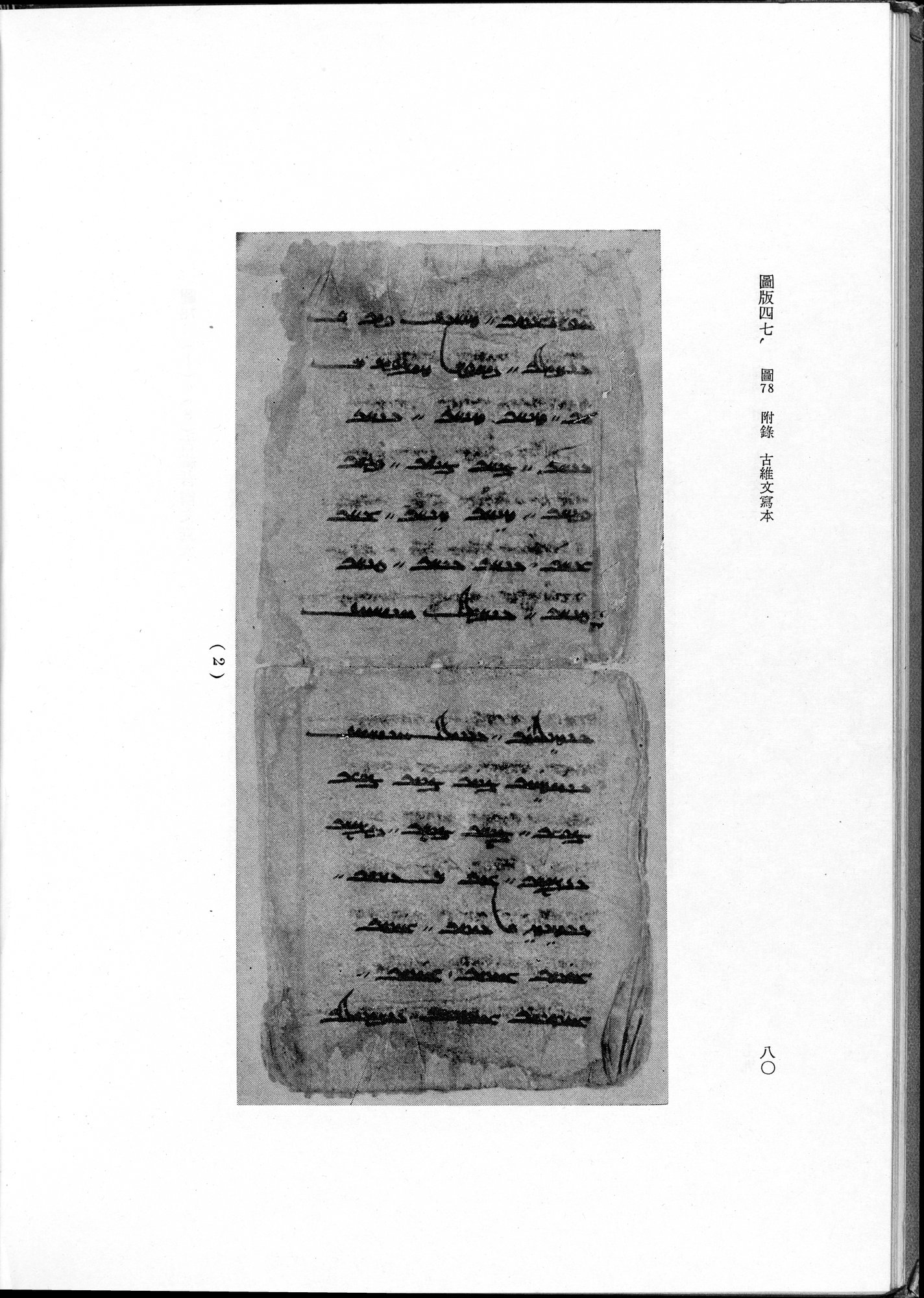 吐魯番考古記 : vol.1 / 190 ページ（白黒高解像度画像）