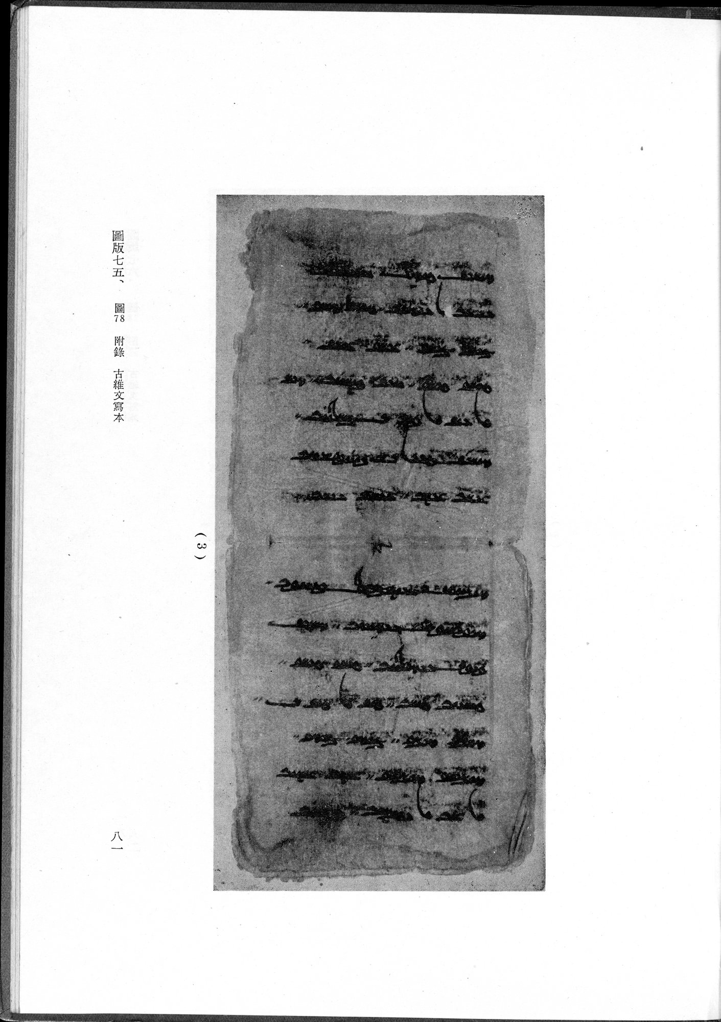 吐魯番考古記 : vol.1 / 191 ページ（白黒高解像度画像）