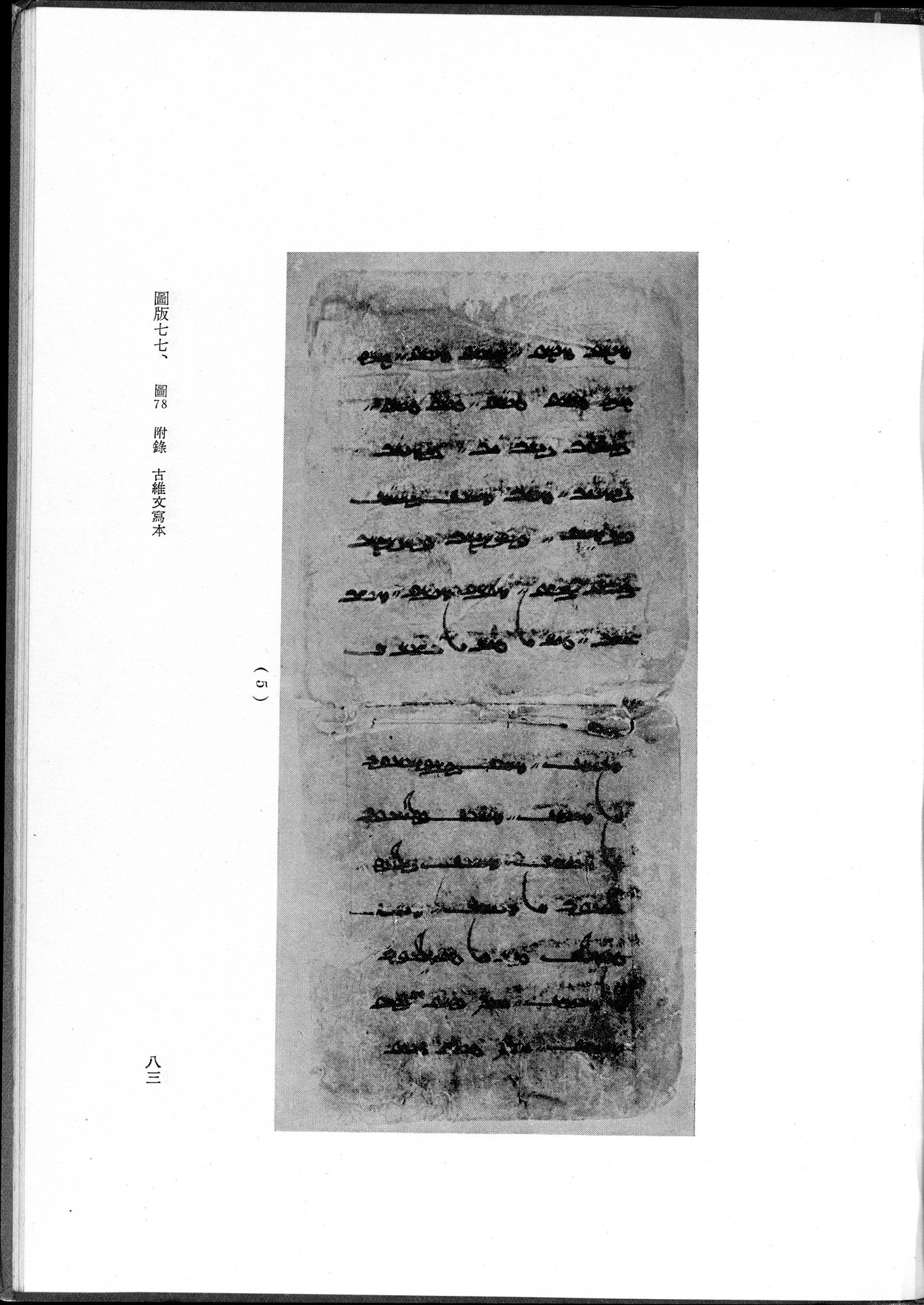 吐魯番考古記 : vol.1 / 193 ページ（白黒高解像度画像）